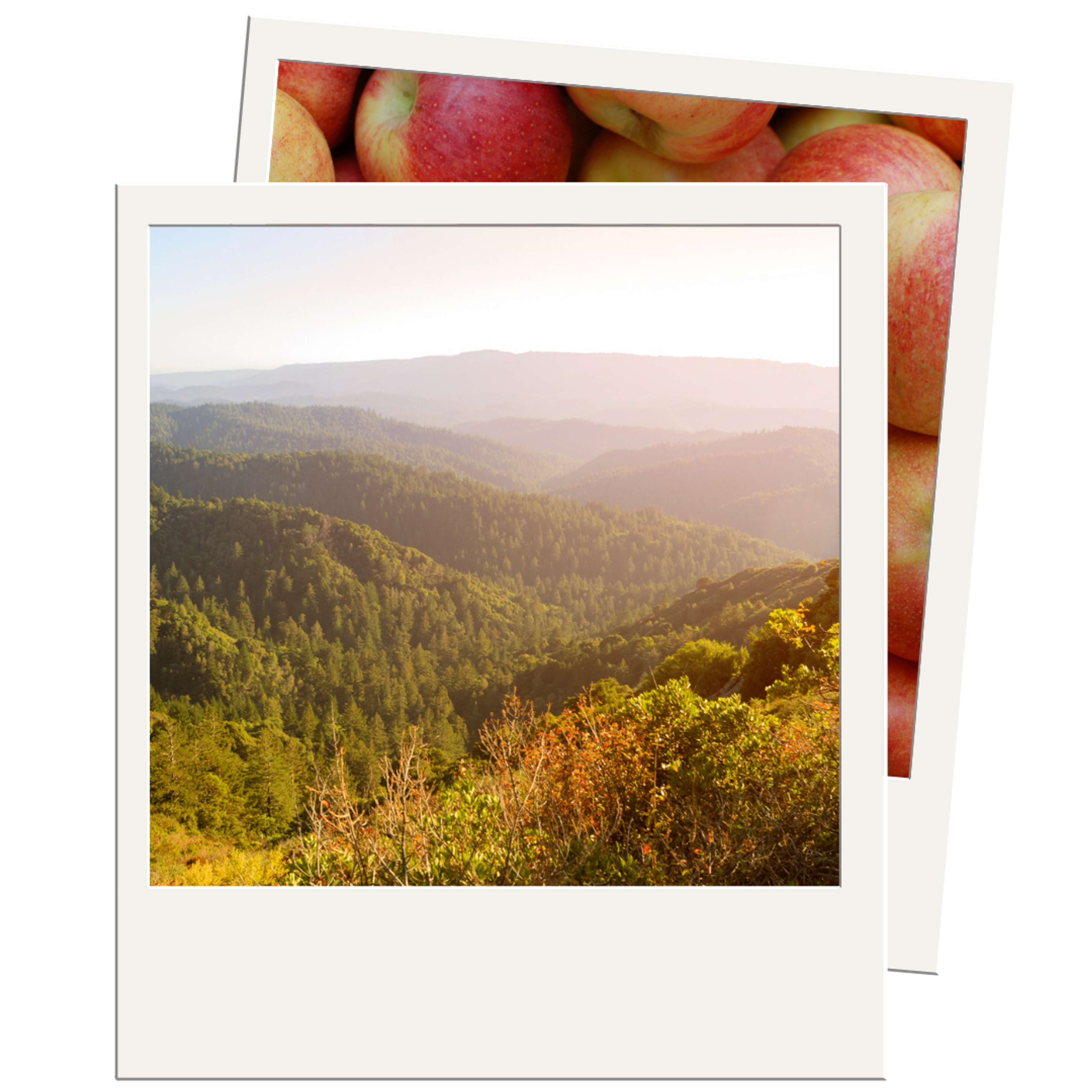 Image from Farm to People