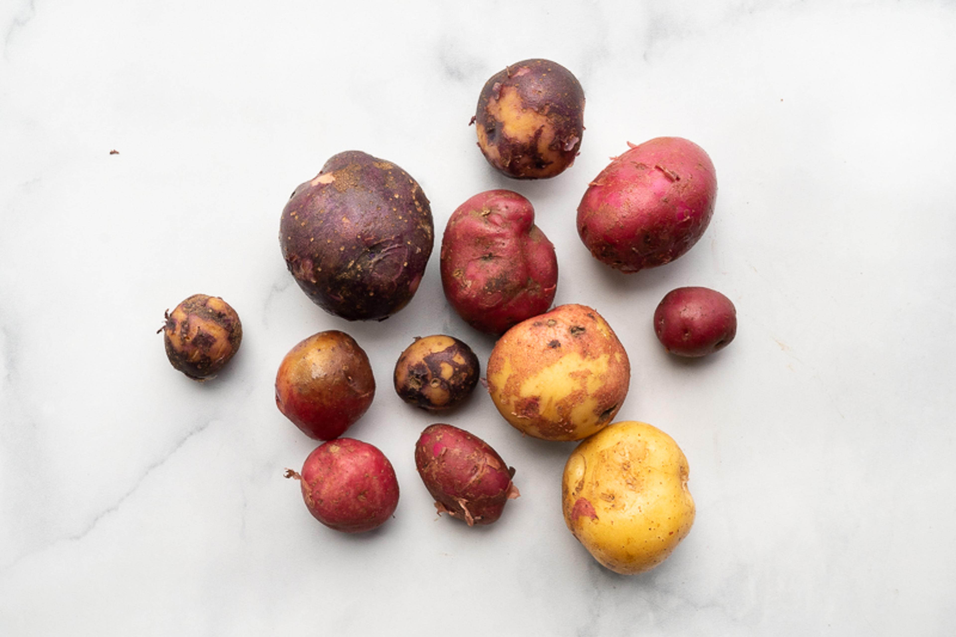 Image from Farm to People