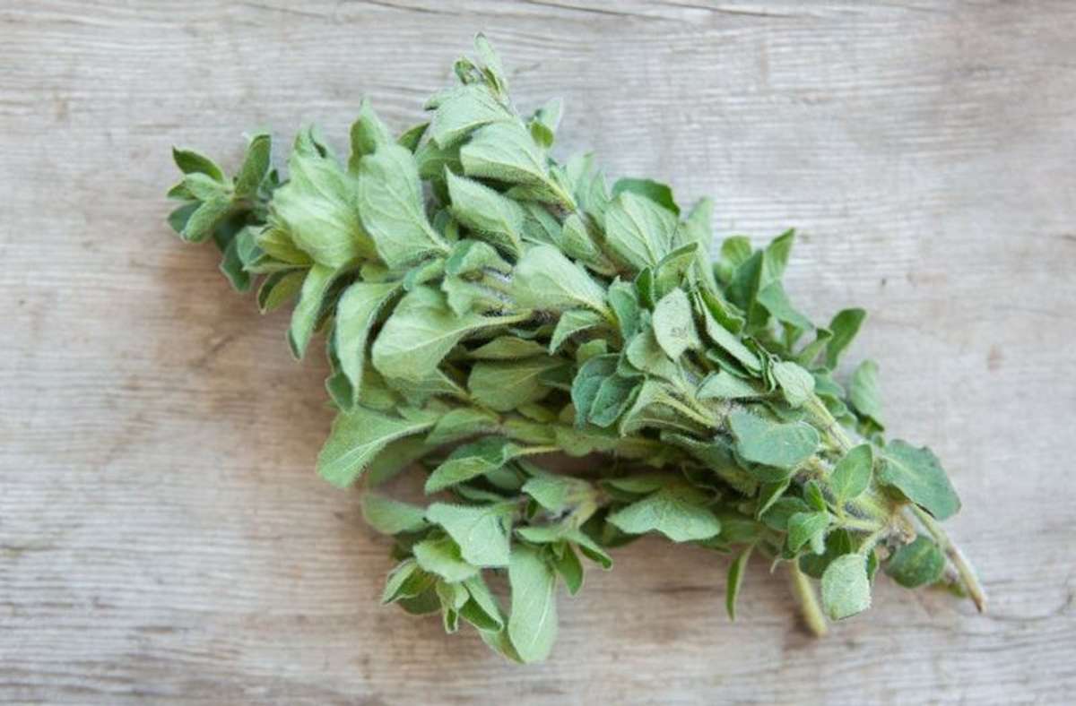 Buy Oregano For Delivery Near You Farm To People