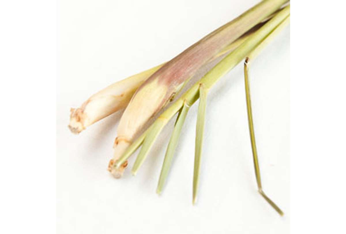 Buy Lemongrass For Delivery Near You Farm To People