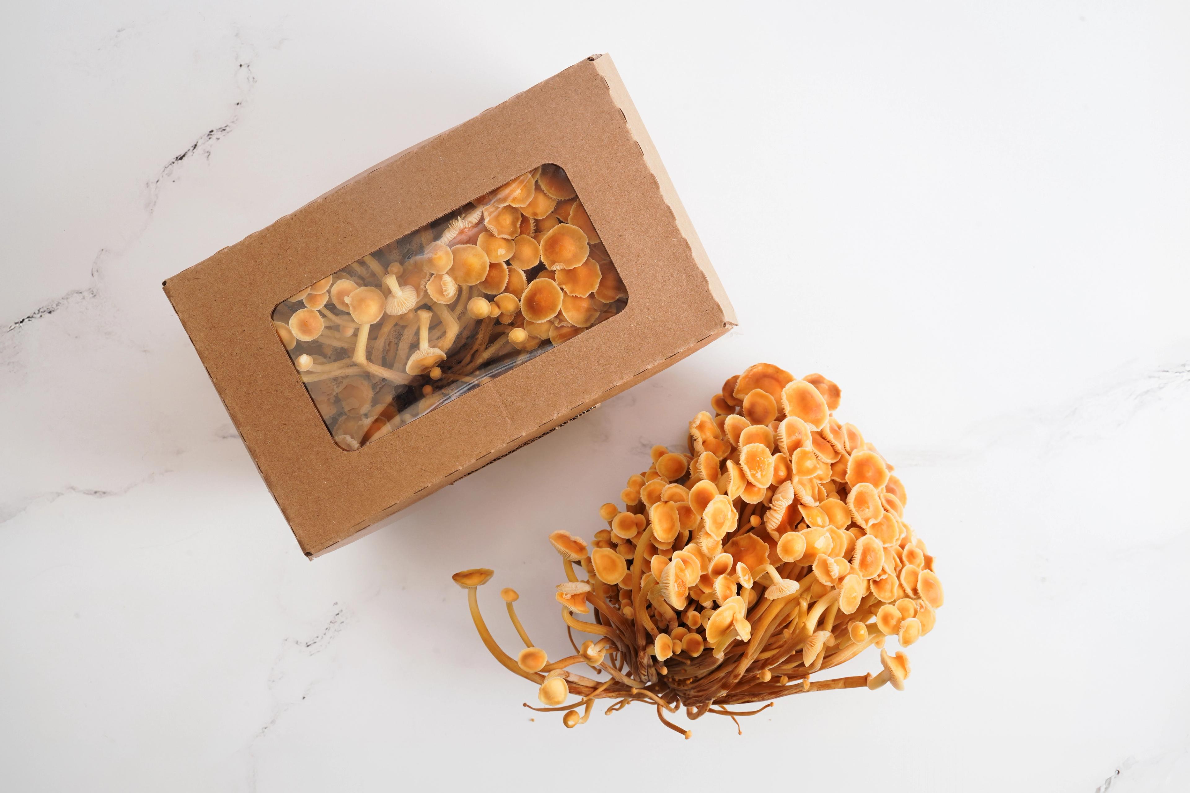 Image from Farm to People