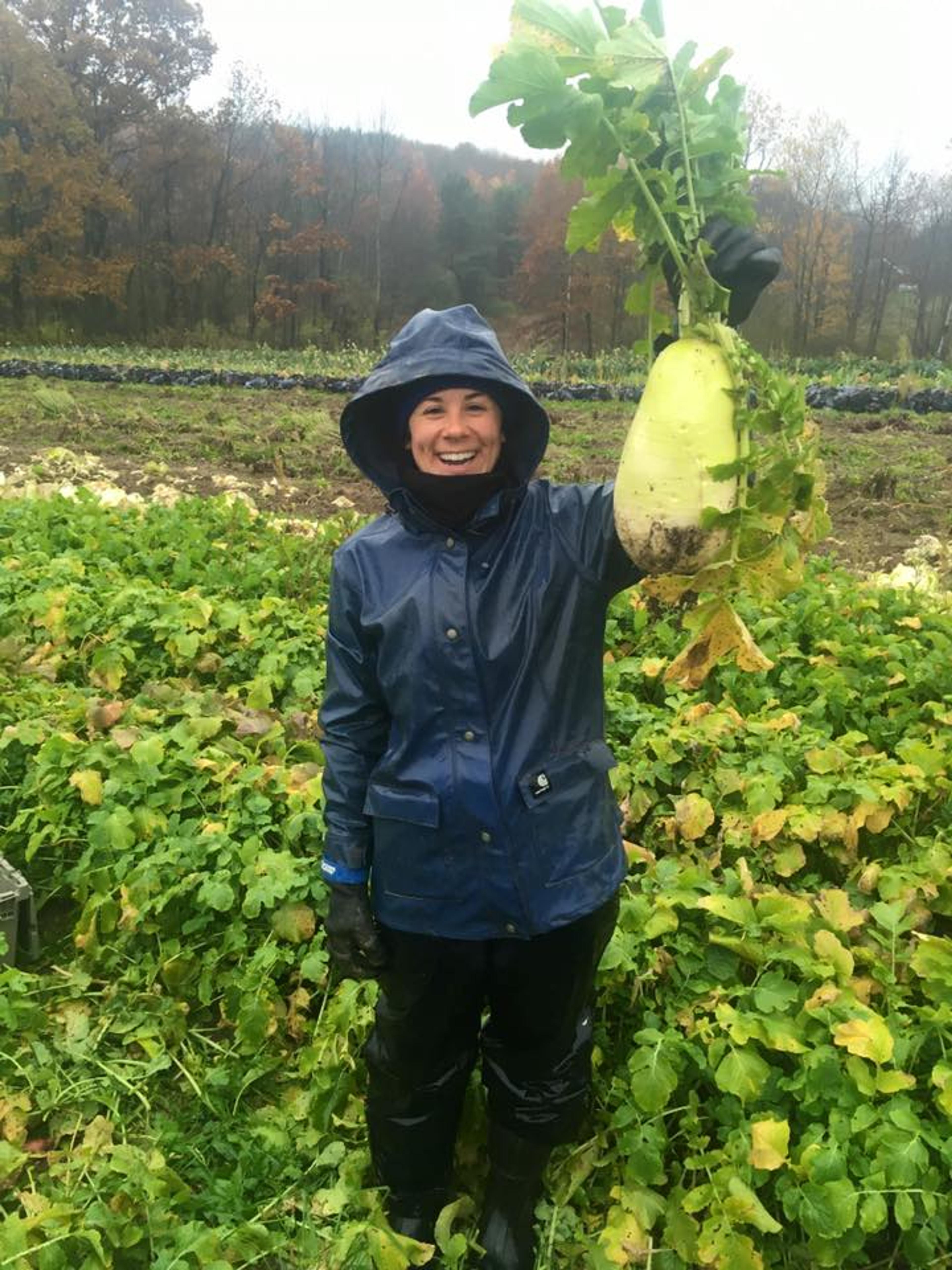 Image from Farm to People