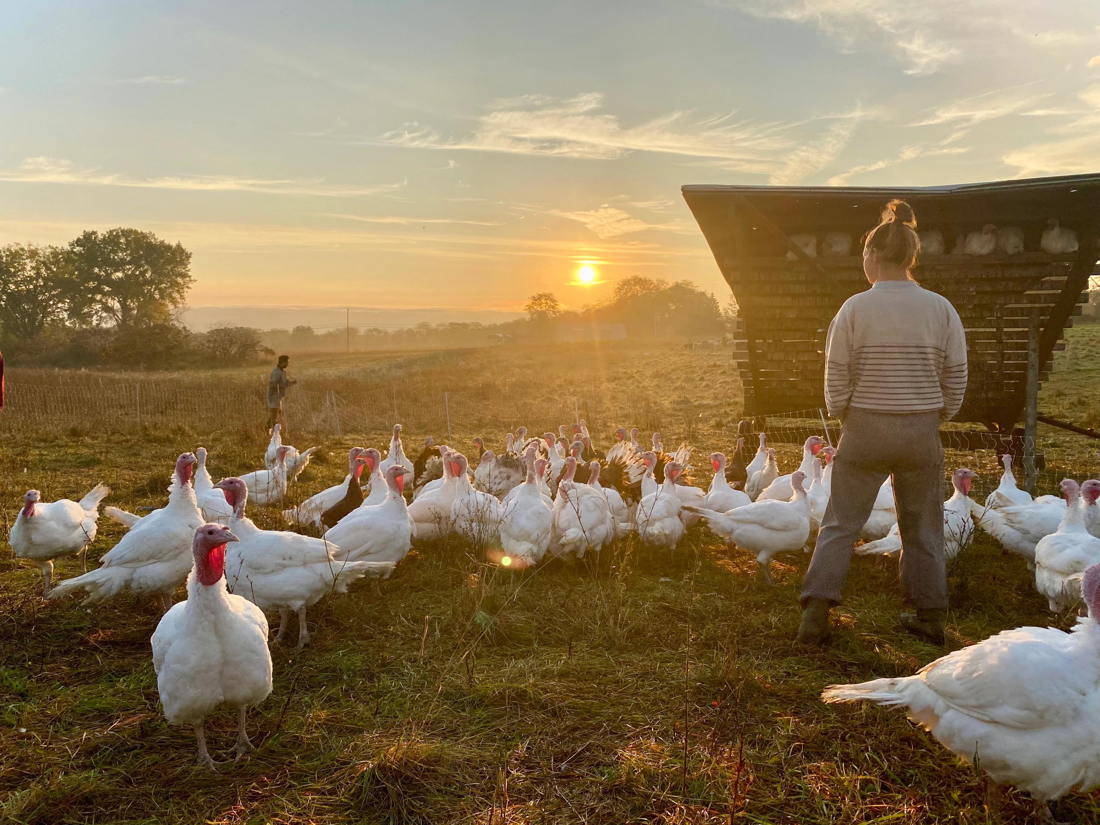 Image from Farm to People