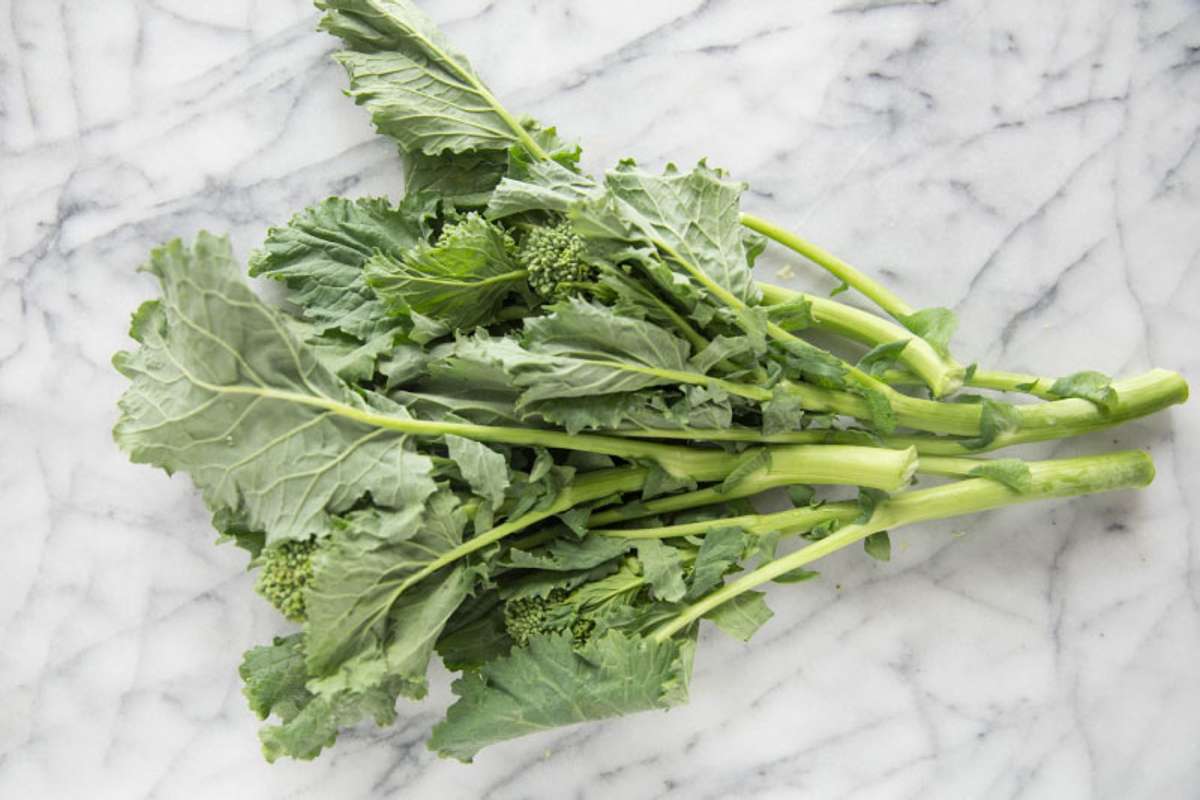 Buy Broccoli di Ciccio For Delivery Near You Farm To People