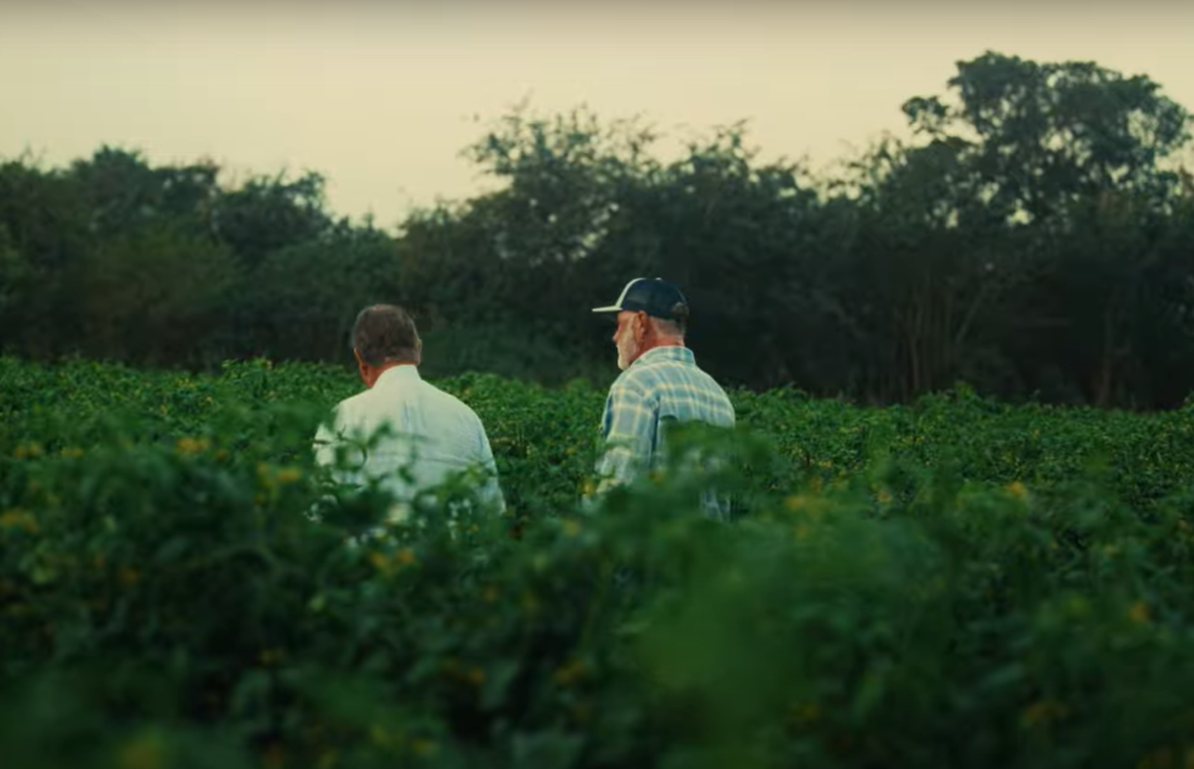 Image from Farm to People