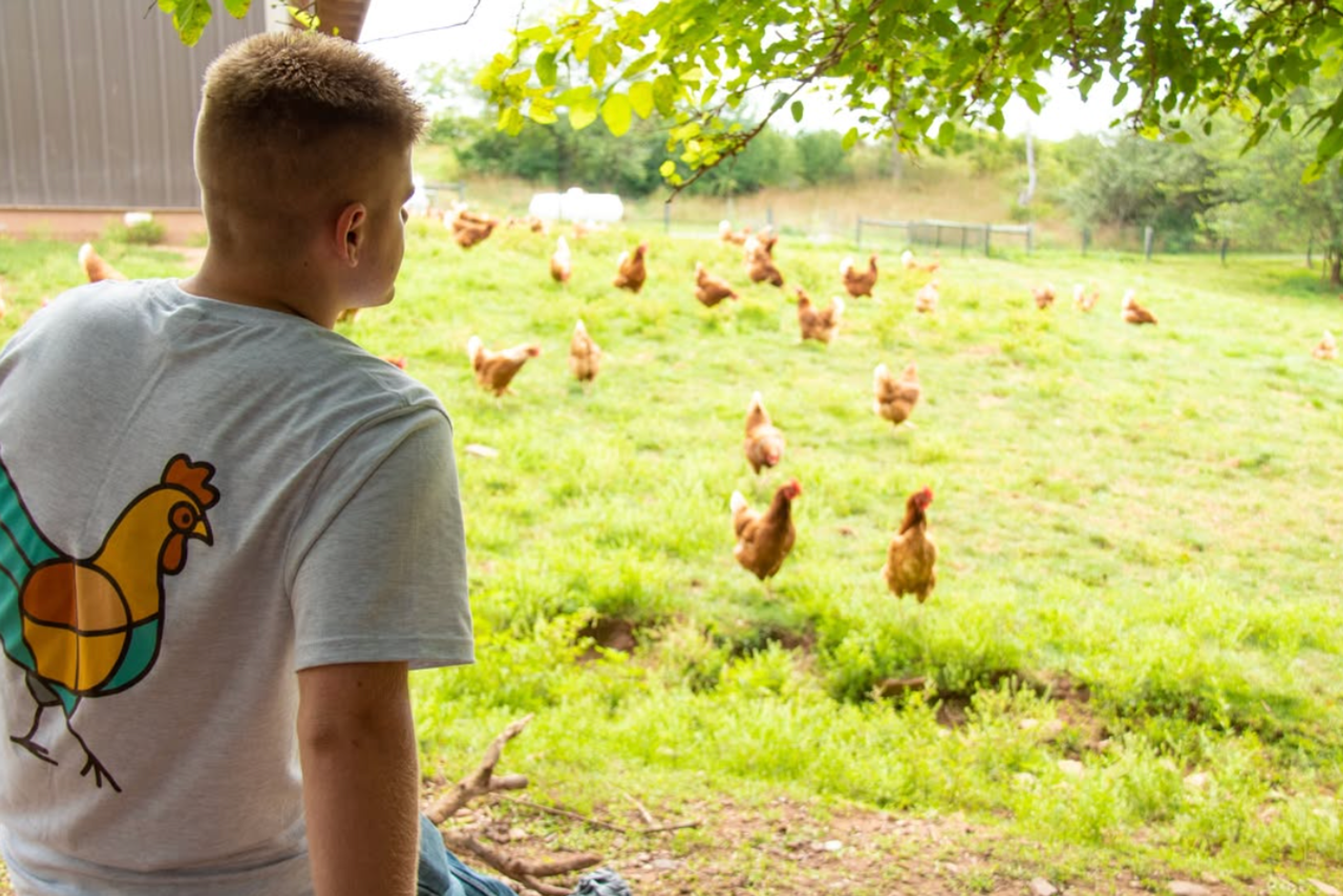 Image from Farm to People