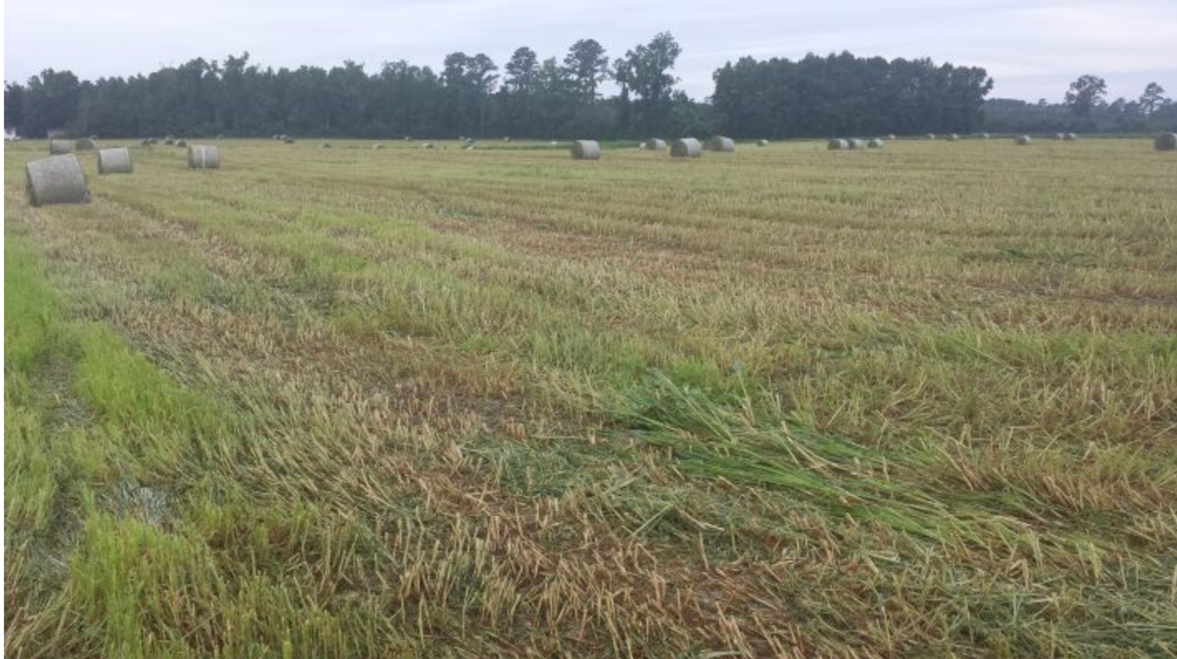 Image from Farm to People