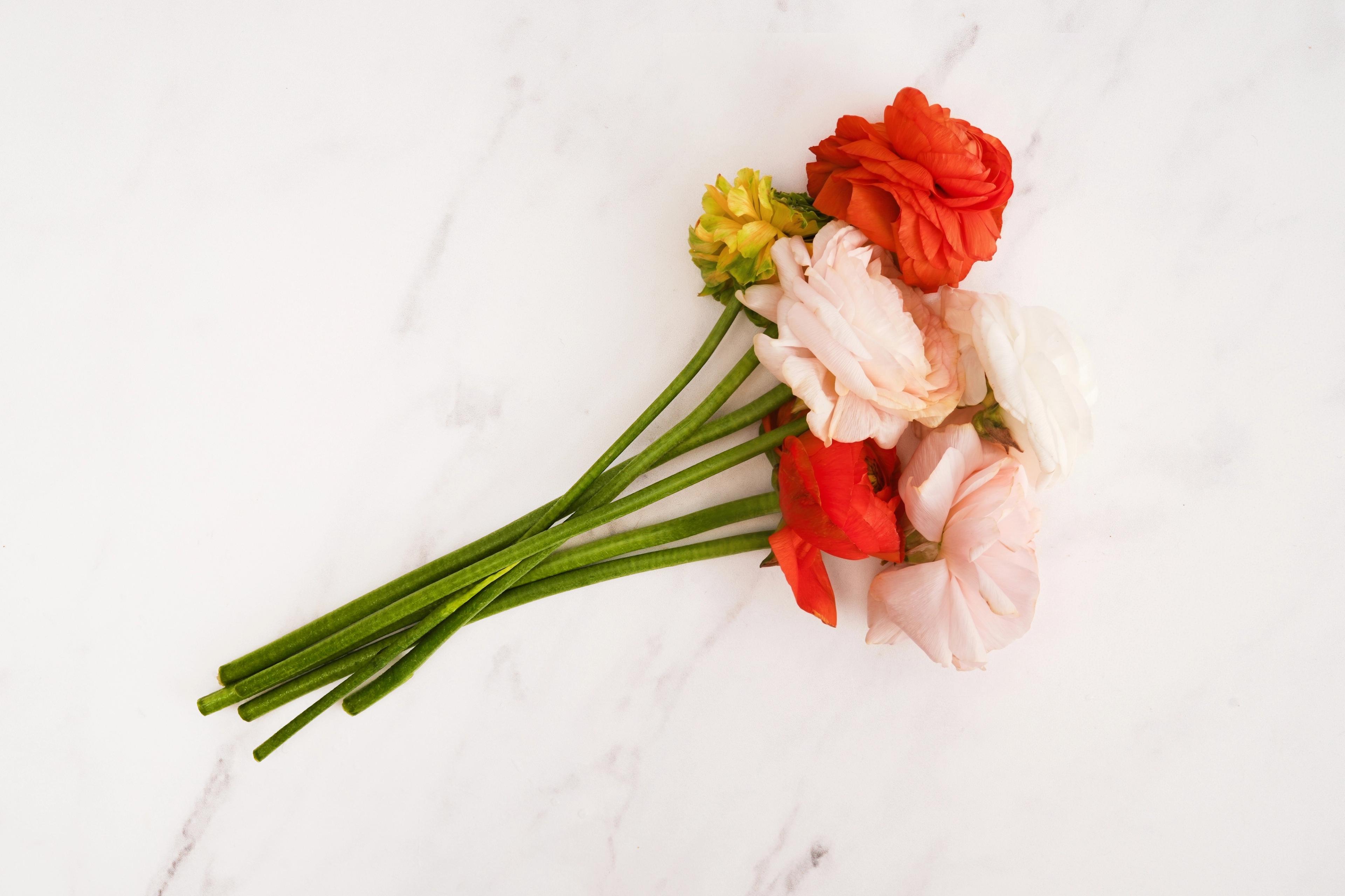 Image from Farm to People