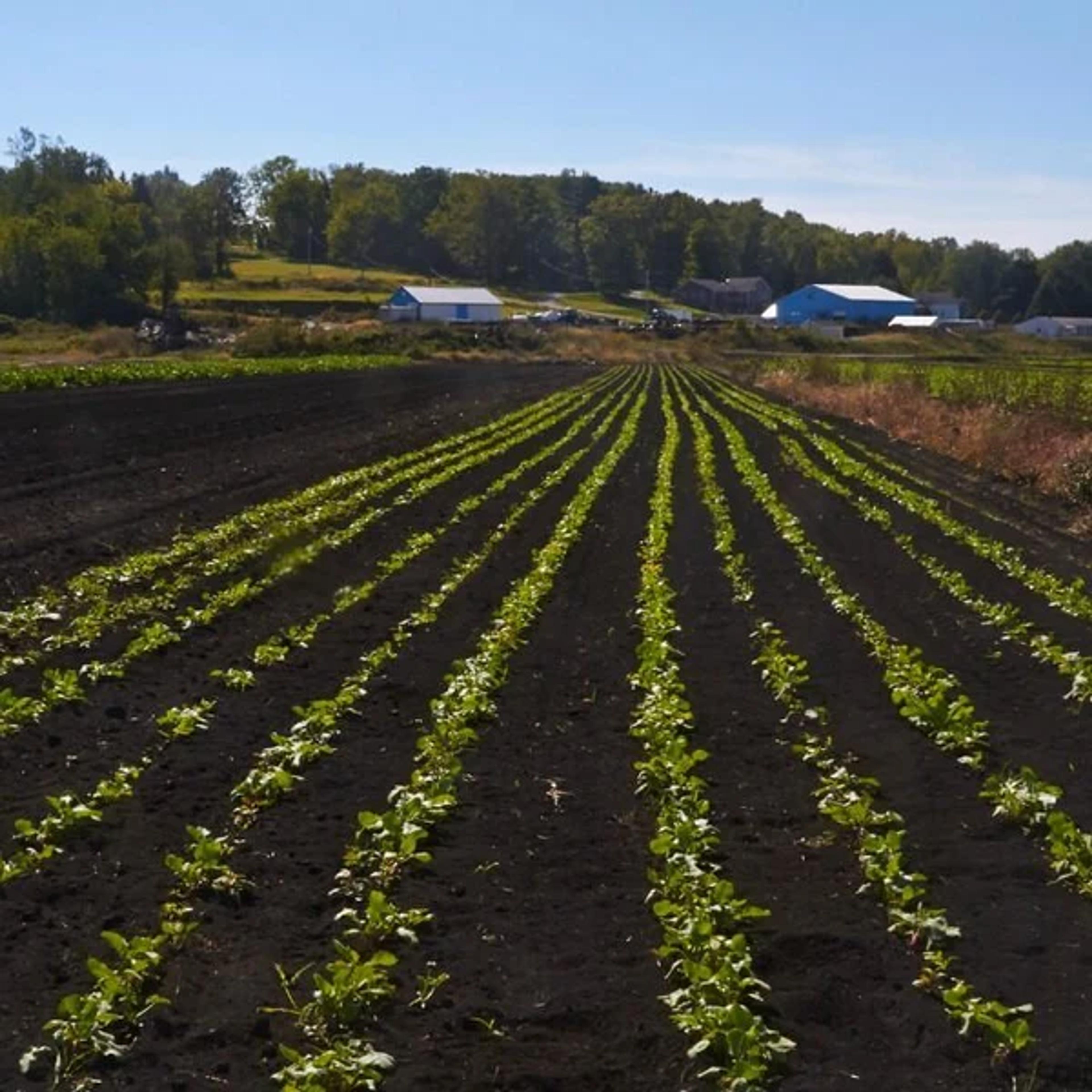 Image from Farm to People