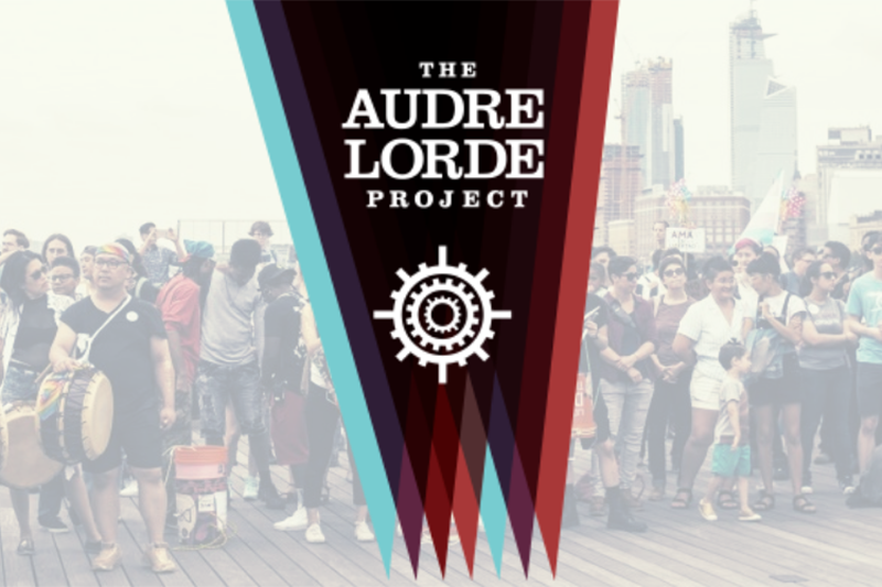 The Audre Lorde Project is a Lesbian, Gay, Bisexual, Two Spirit, Trans and Gender Non Conforming People of Color center for community organizing, focusing on the New York City area.