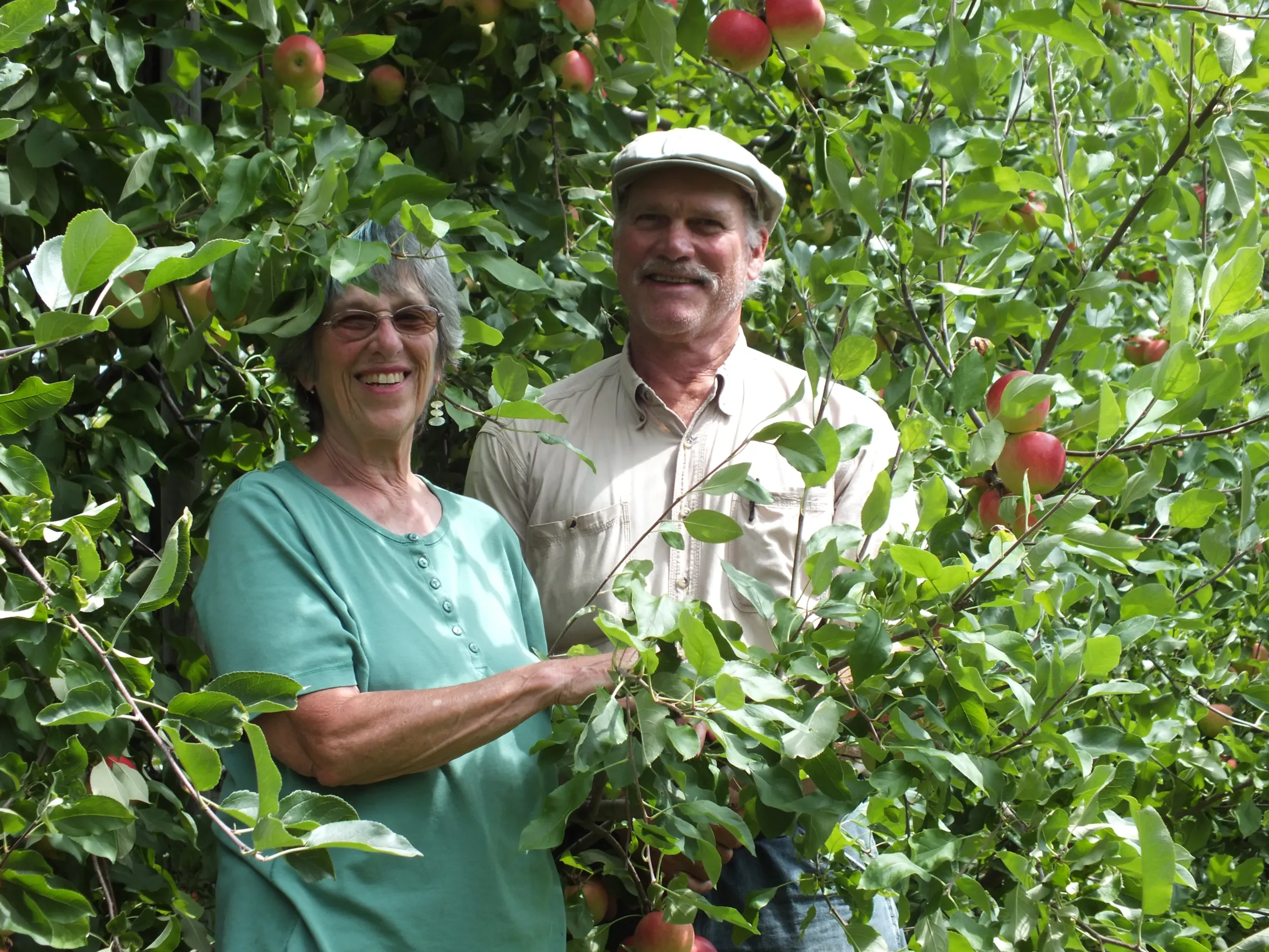 Image from Farm to People
