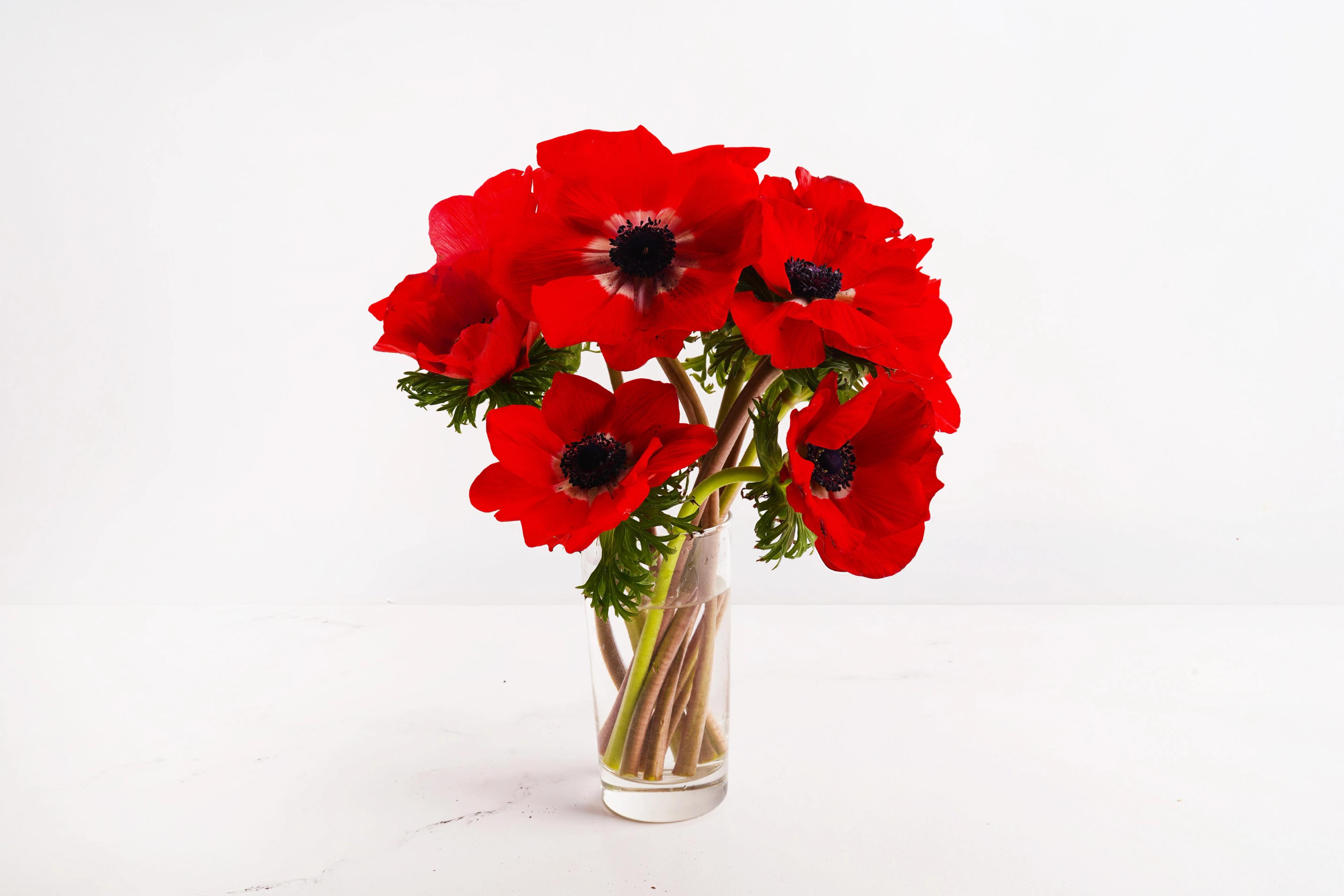 Image from Farm to People