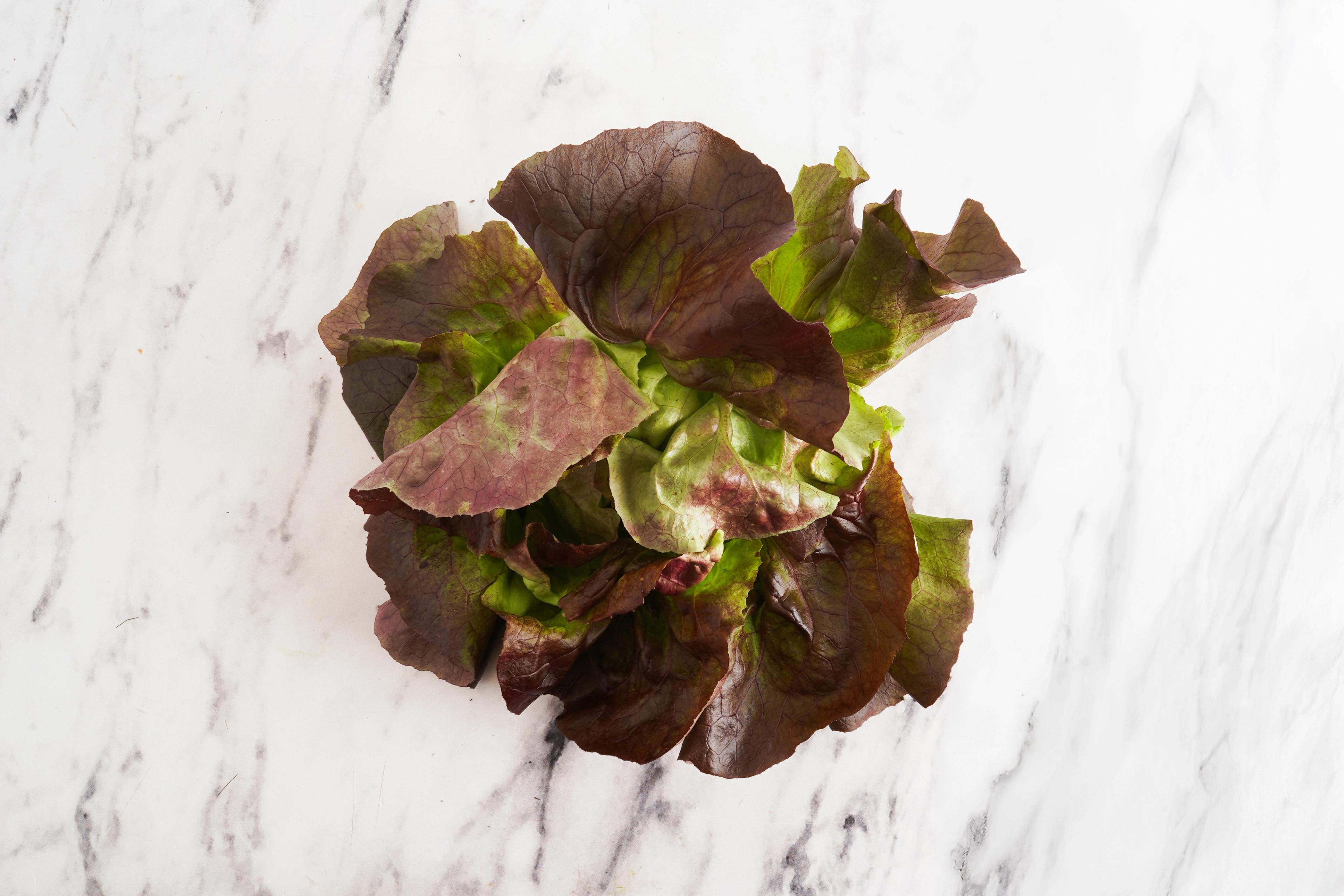 Image from Farm to People