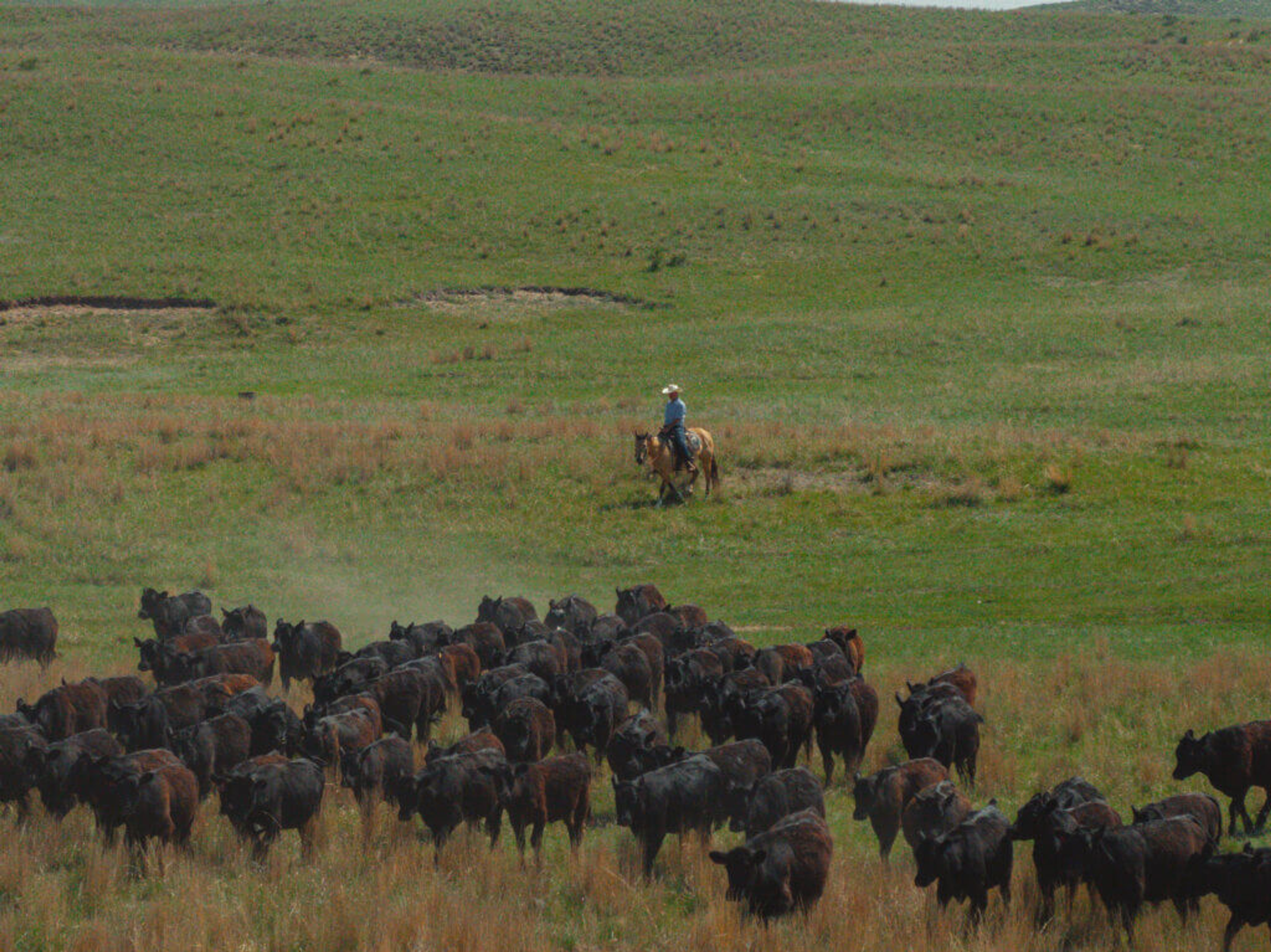 Image from Farm to People