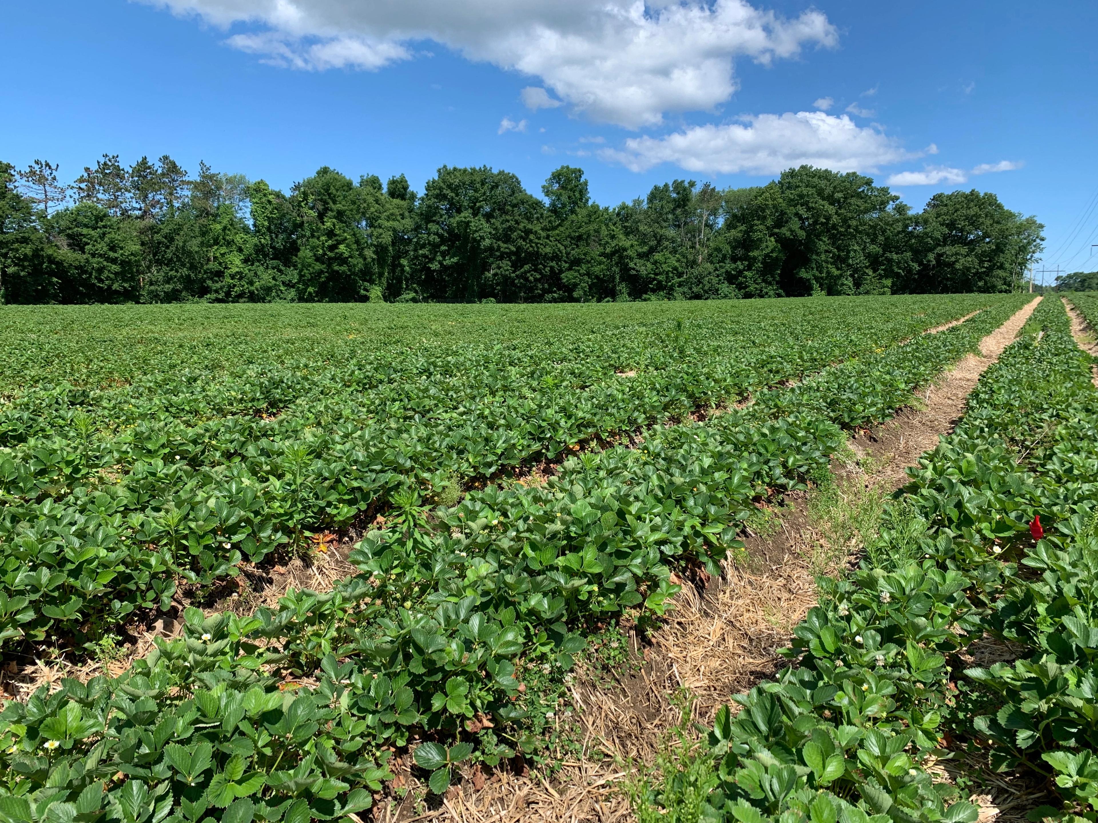 Image from Farm to People