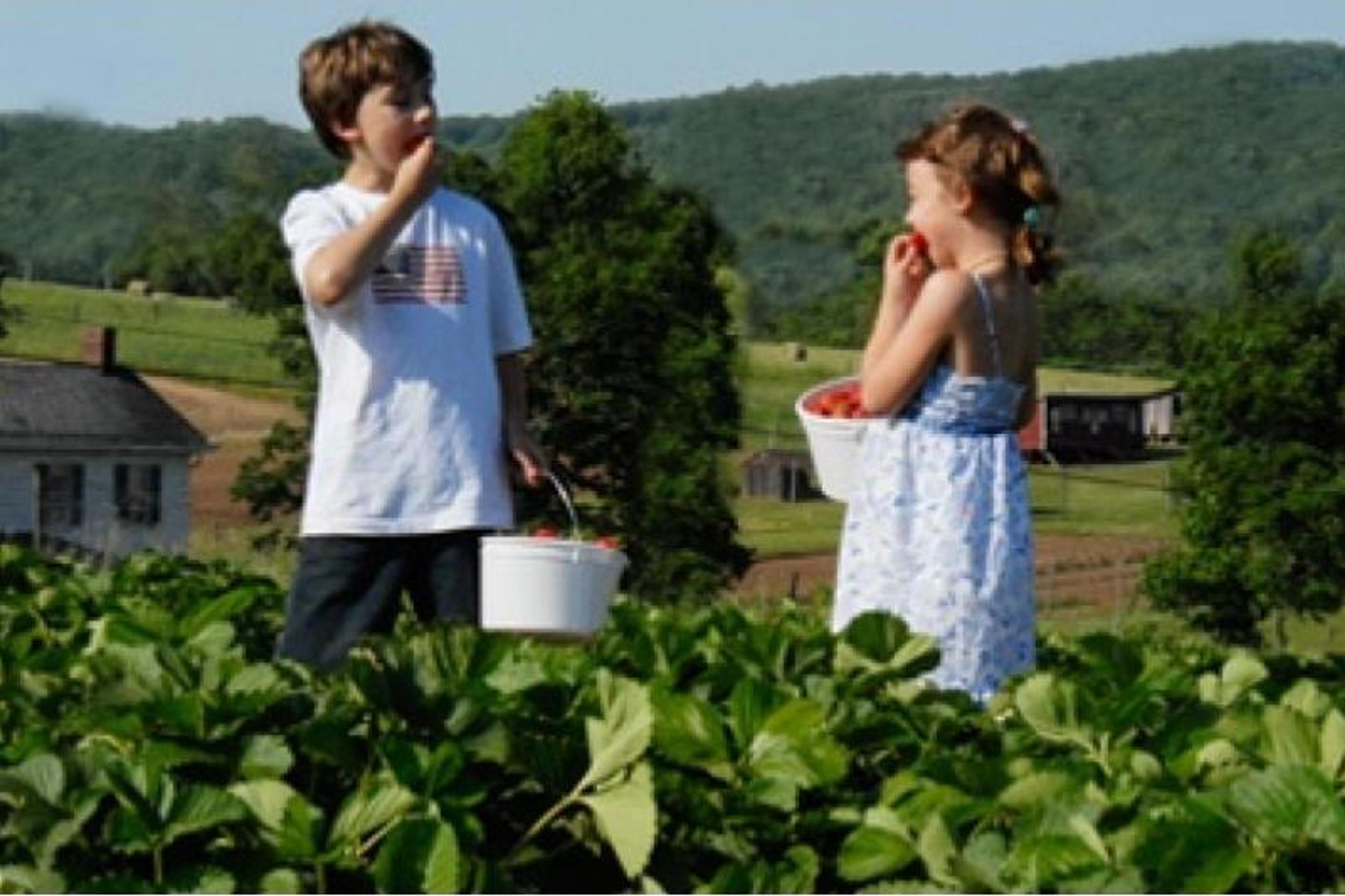 Image from Farm to People