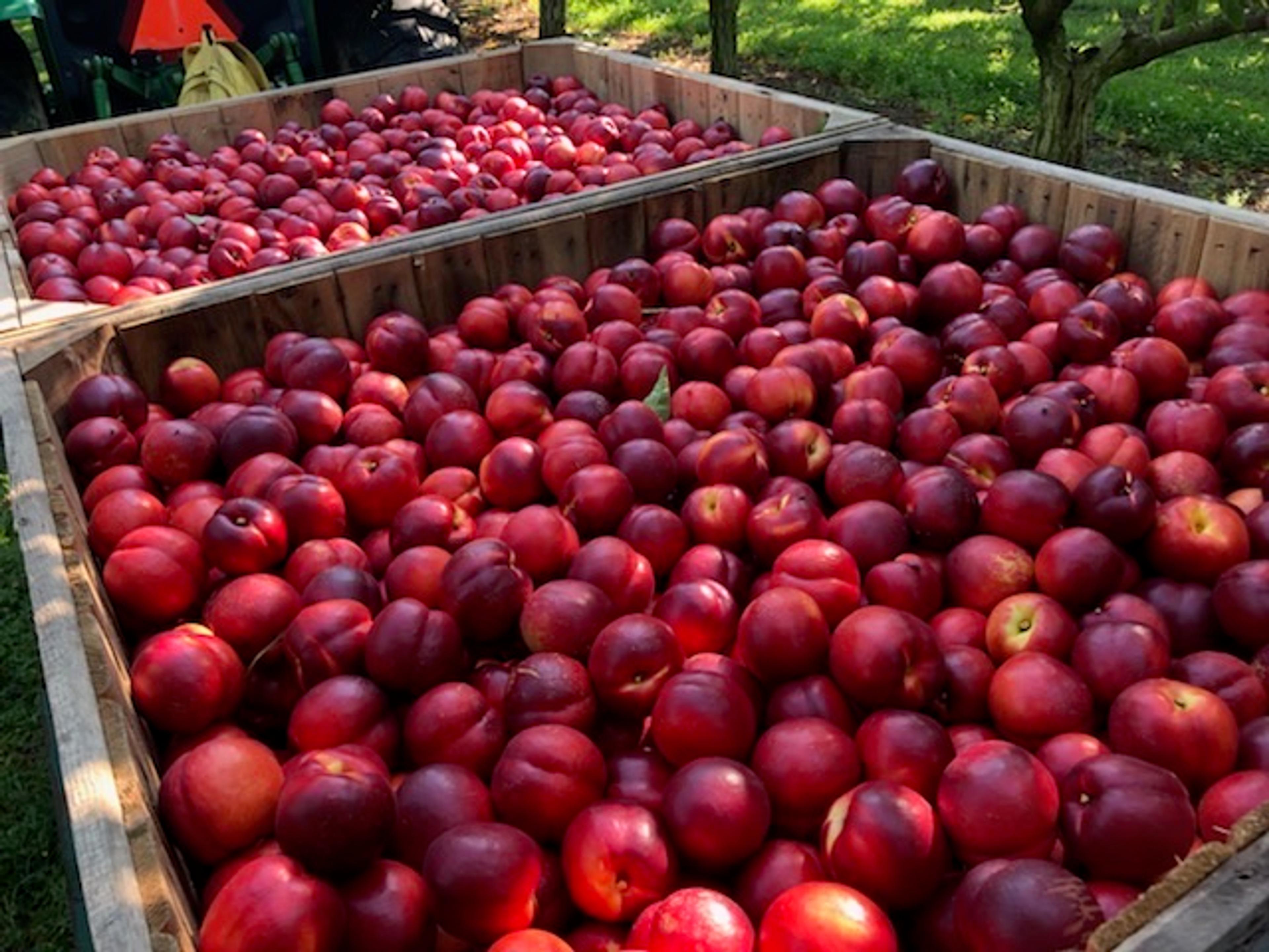 Image from Farm to People