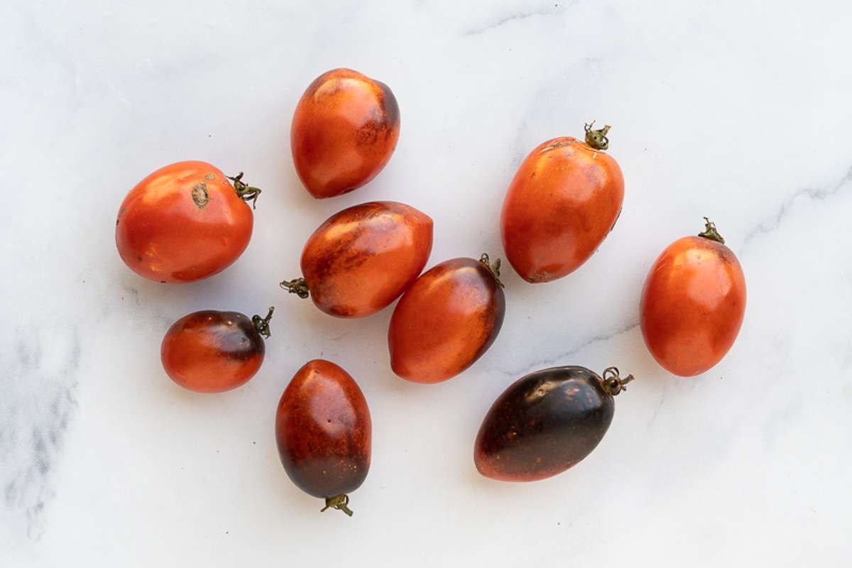 Buy Midnight Roma Tomatoes For Delivery Near You Farm To People