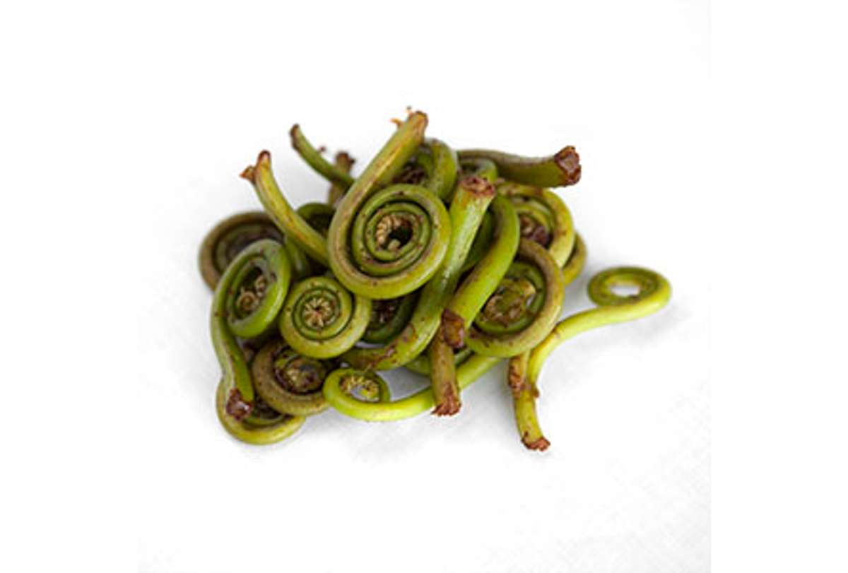 Buy Fiddlehead Ferns For Delivery Near You Farm To People