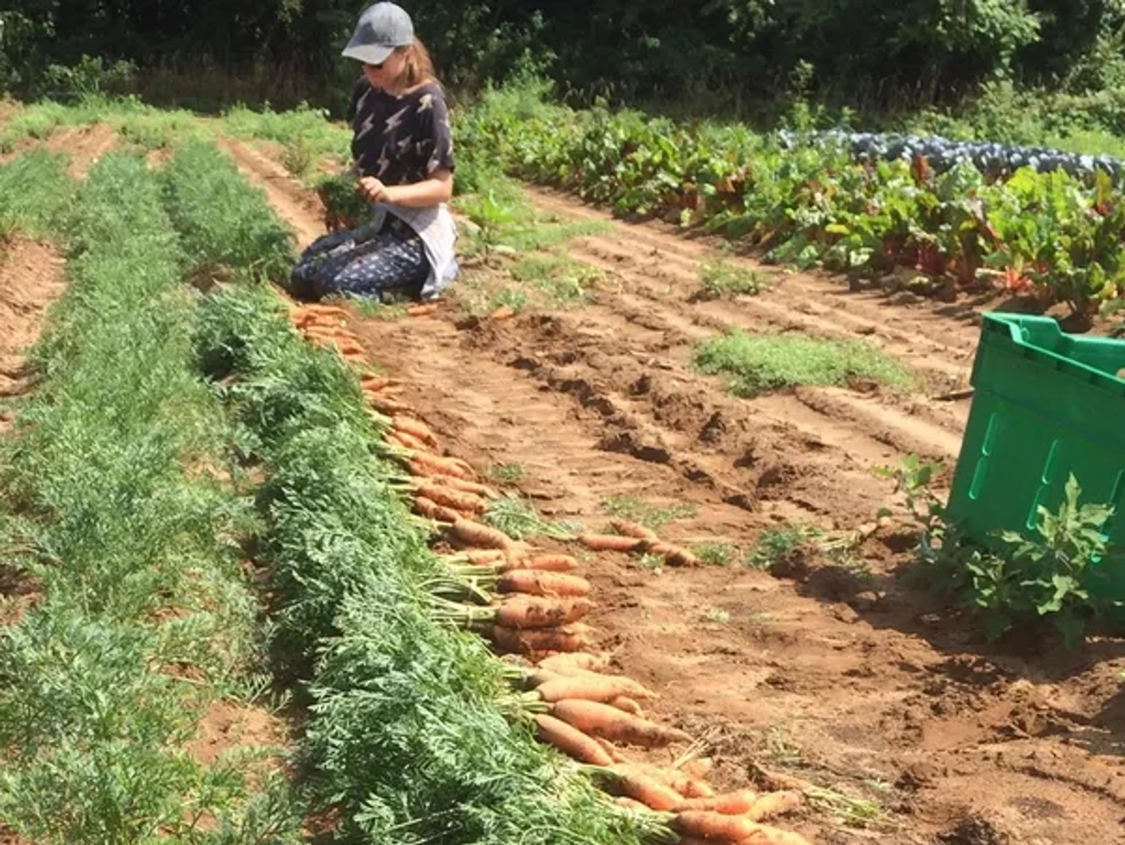 Image from Farm to People