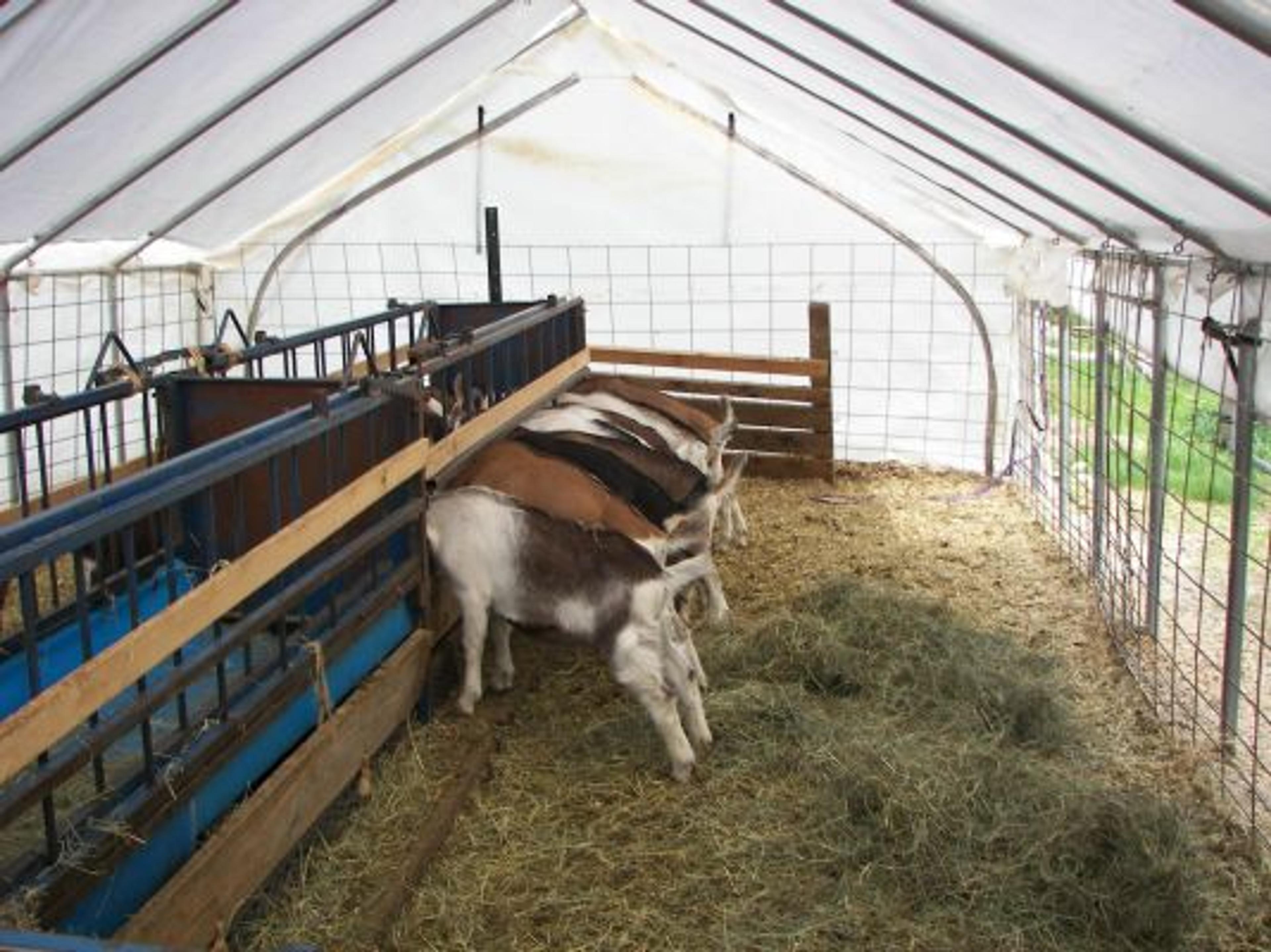 Image from Farm to People