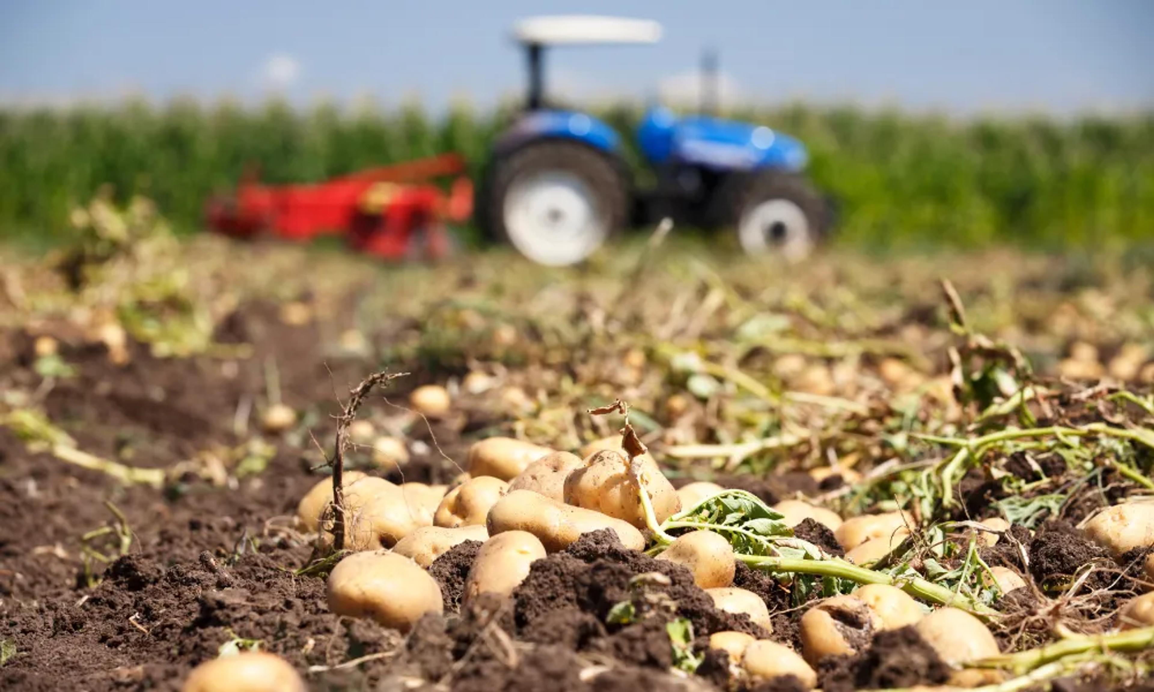Image from Farm to People