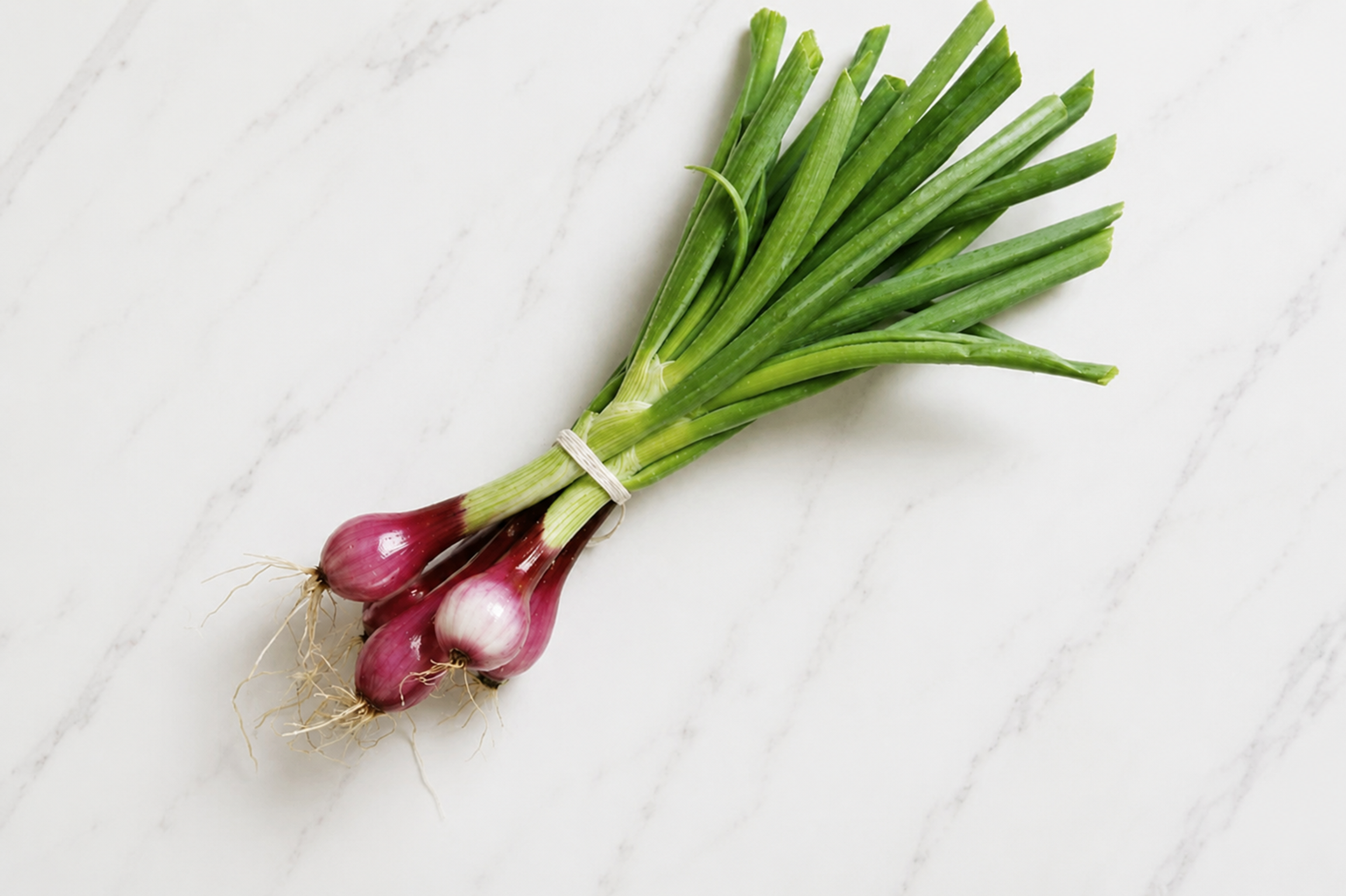 Image from Farm to People