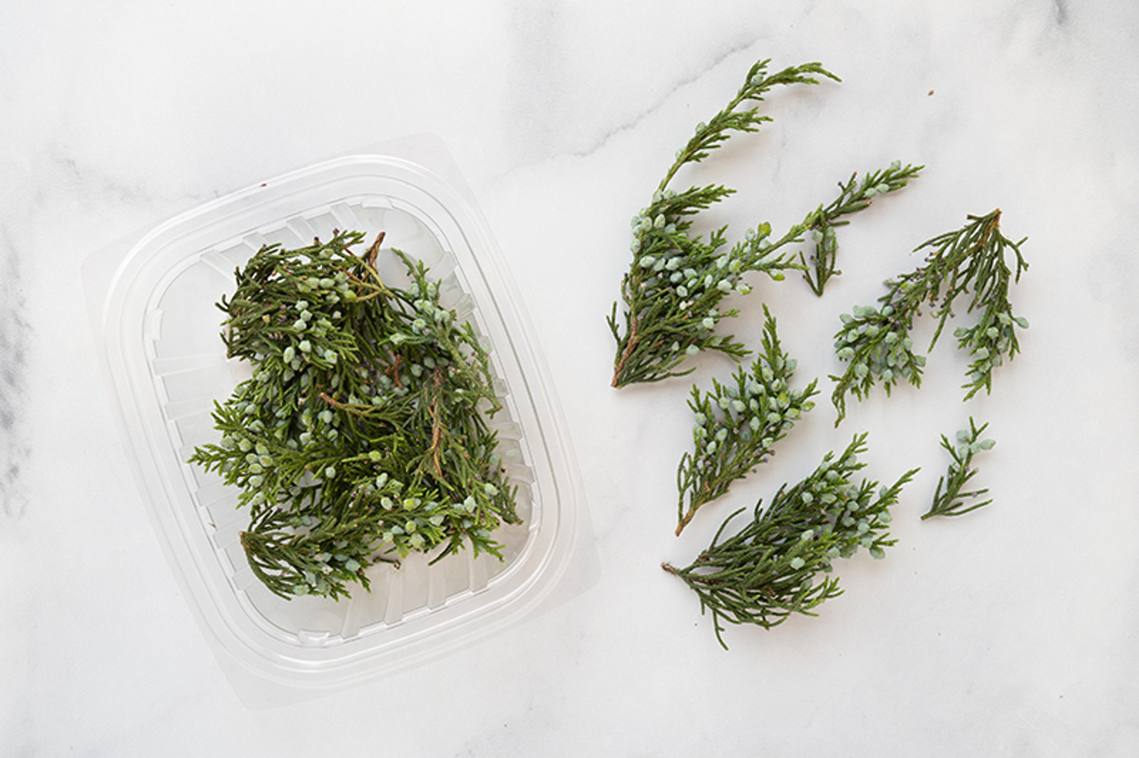 Image from Farm to People