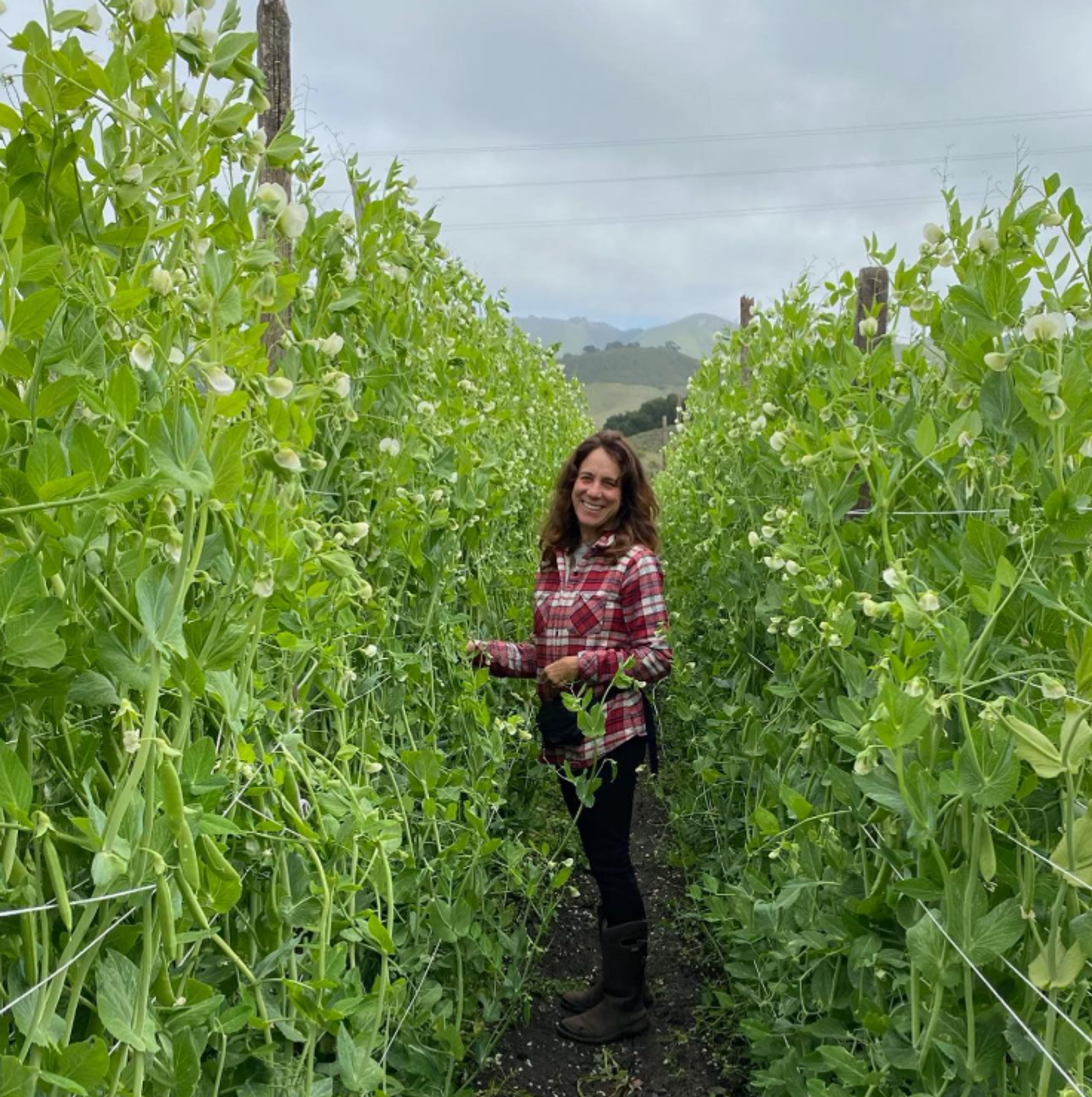 Image from Farm to People