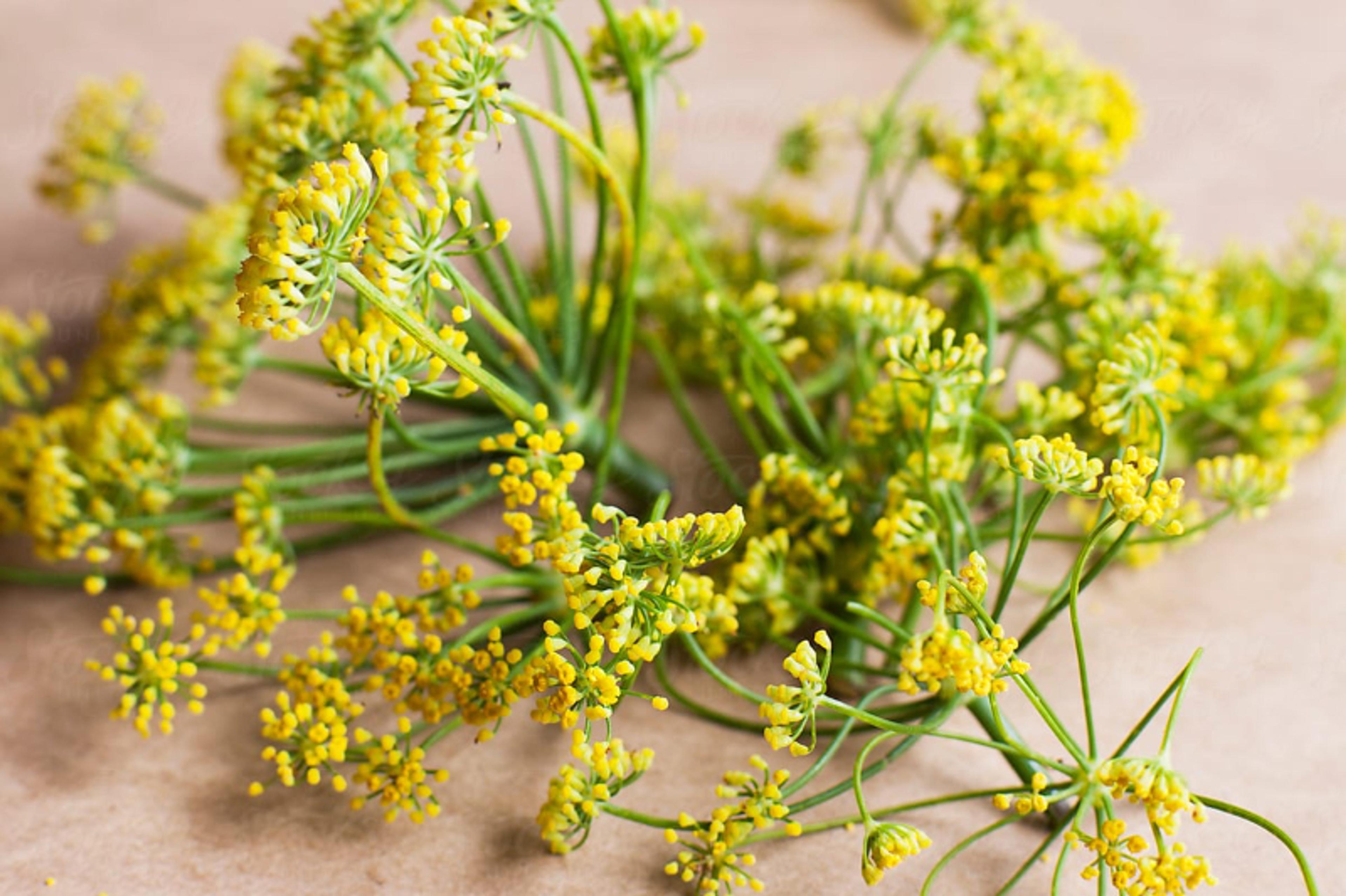 Image from Farm to People