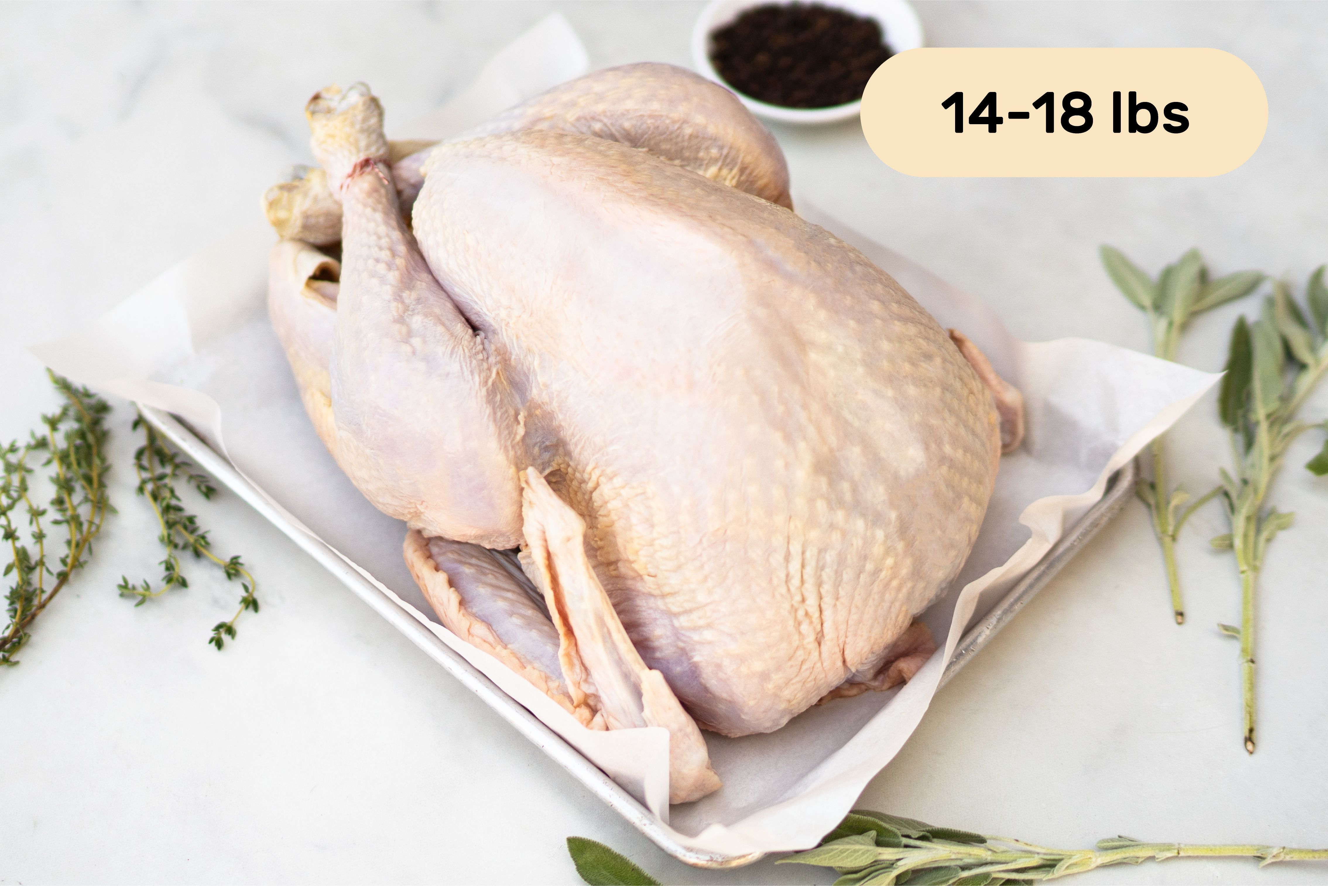 Where To Buy Fresh Turkey