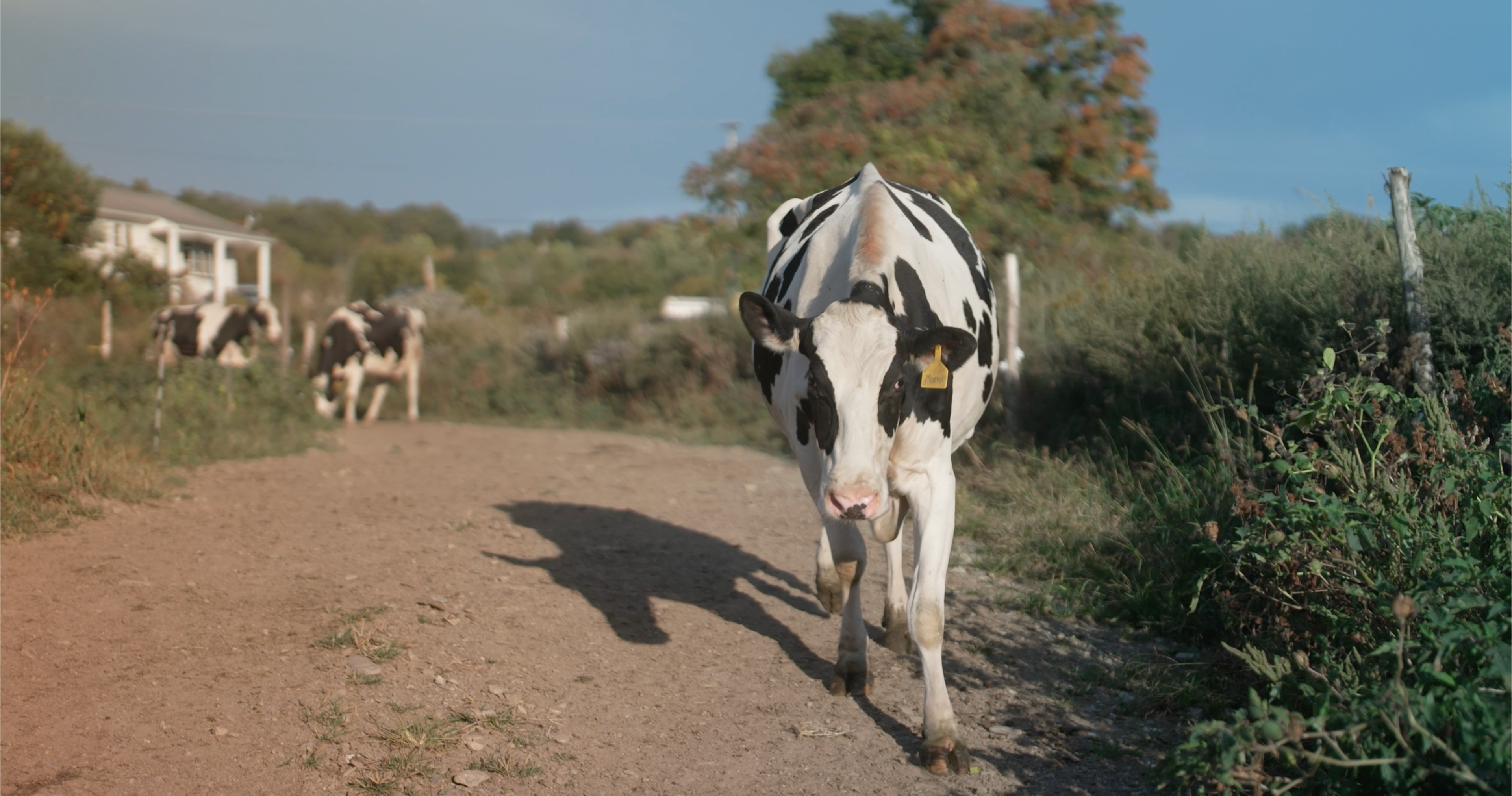 Image from Farm to People