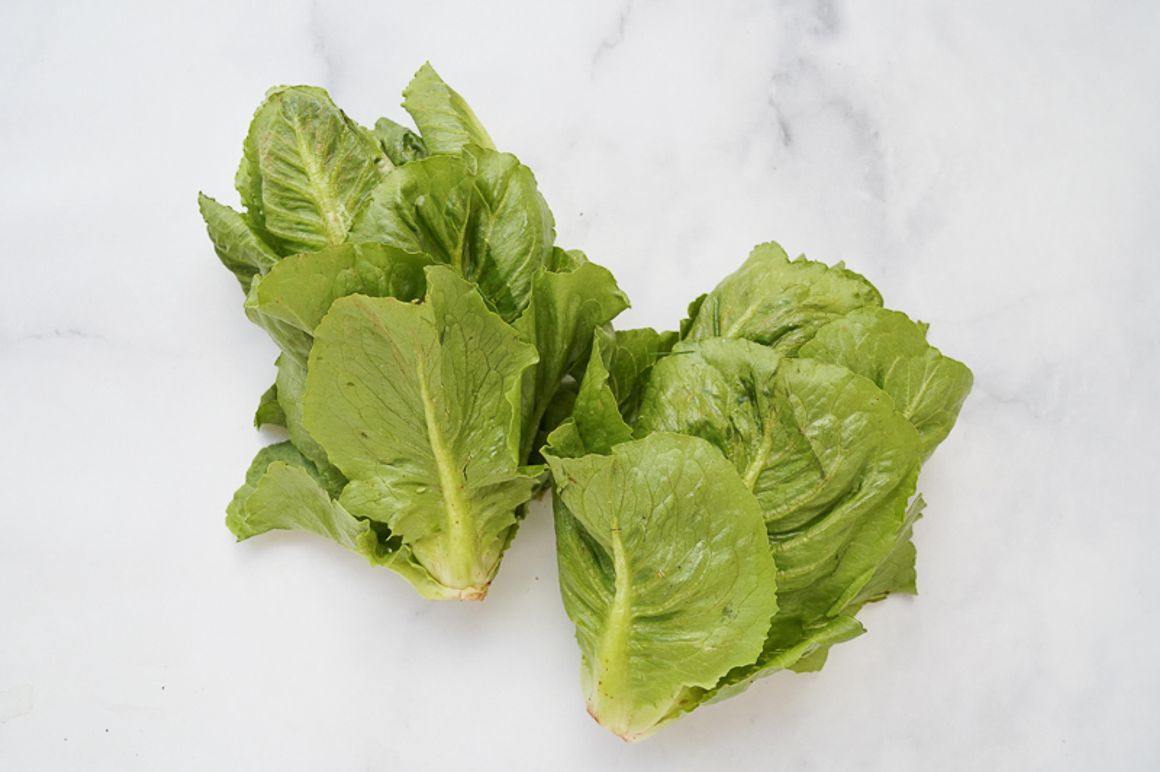 Image from Farm to People