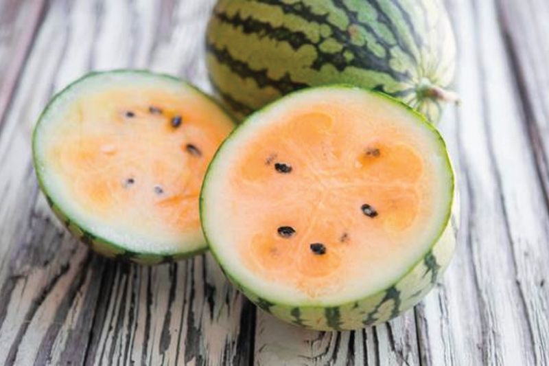 orange watermelons