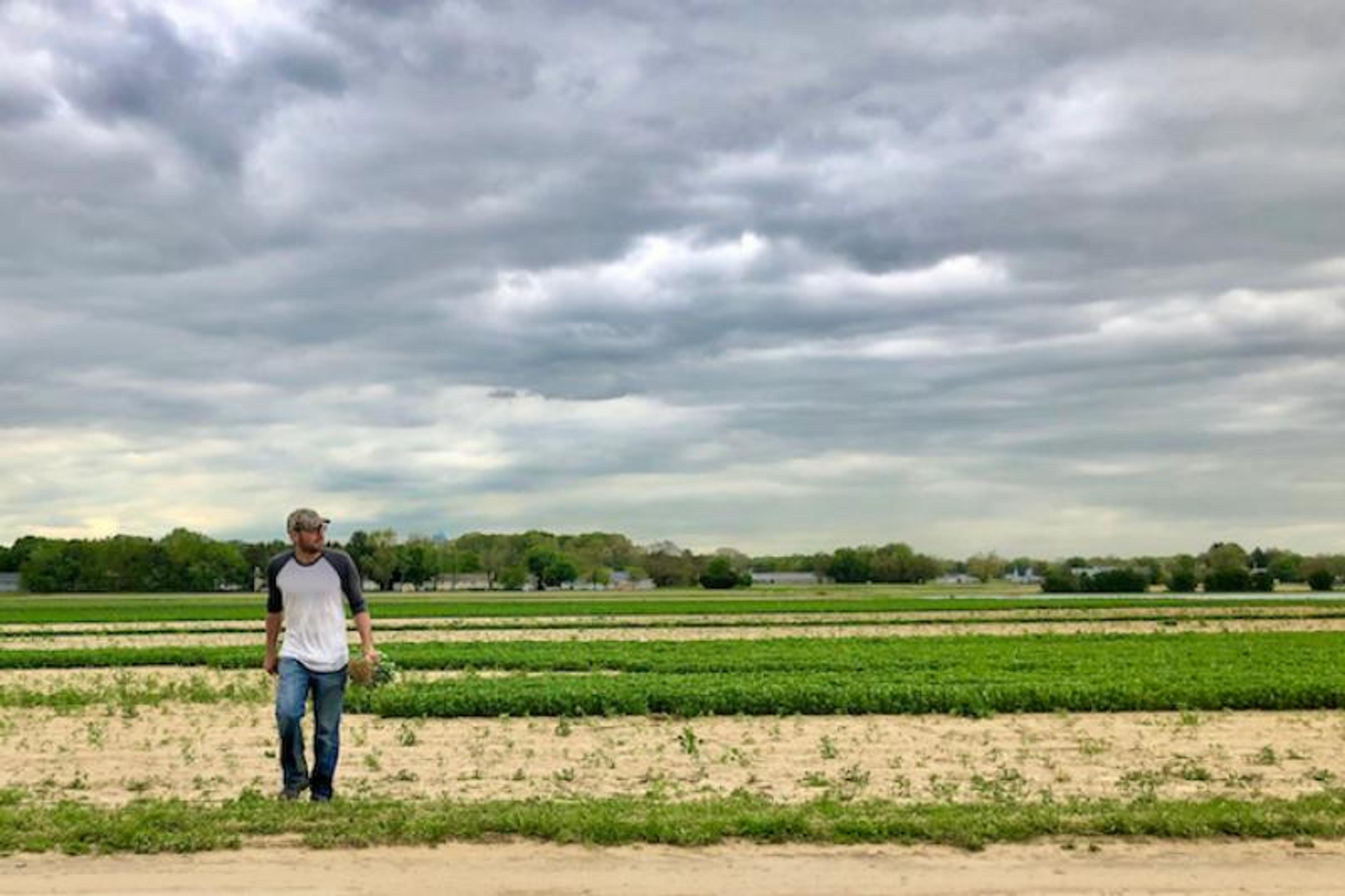 Image from Farm to People