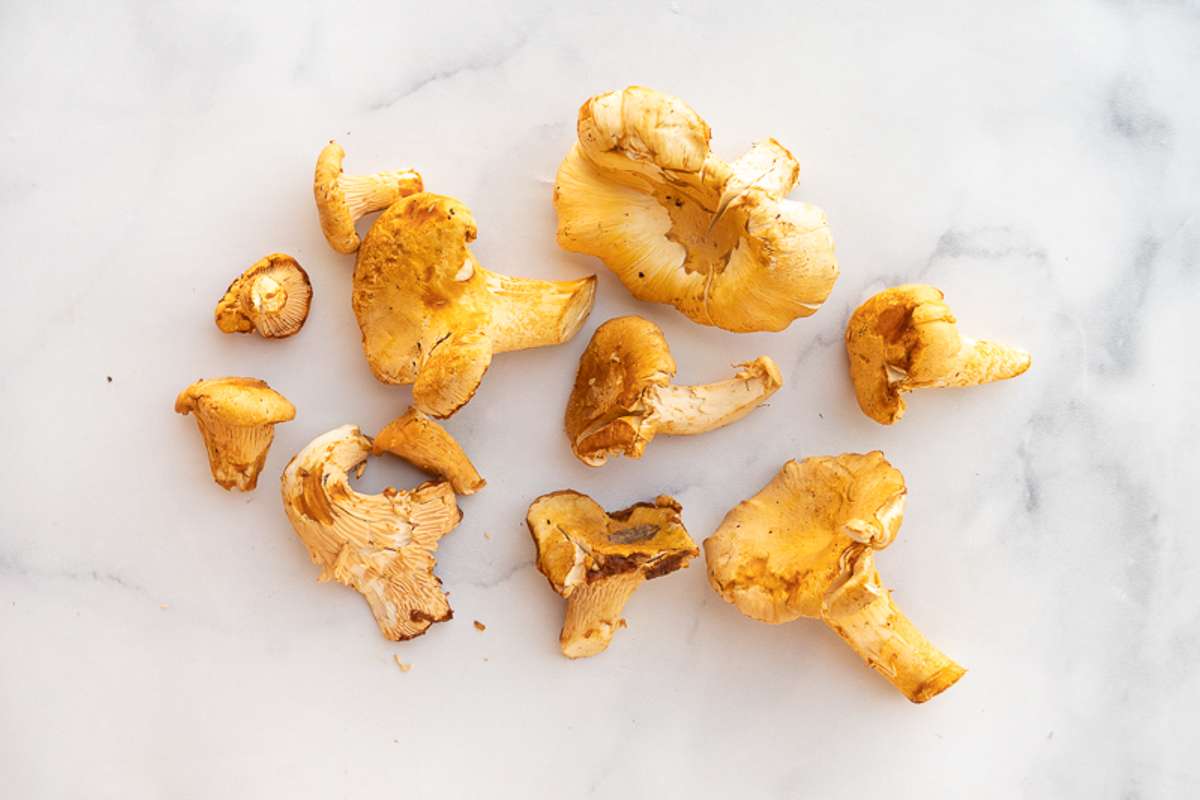 Buy Foraged Chanterelle Mushrooms For Delivery Near You Farm To People