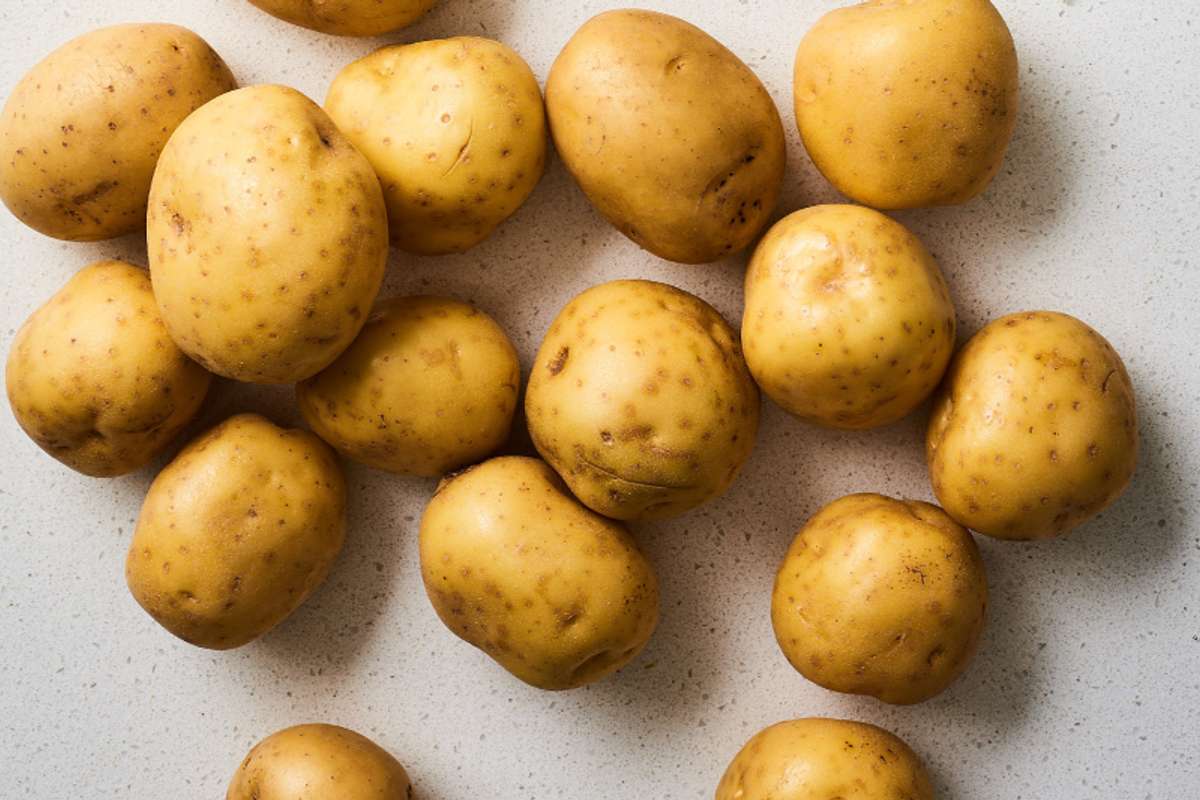 Buy Kennebec Potatoes For Delivery Near You Farm To People
