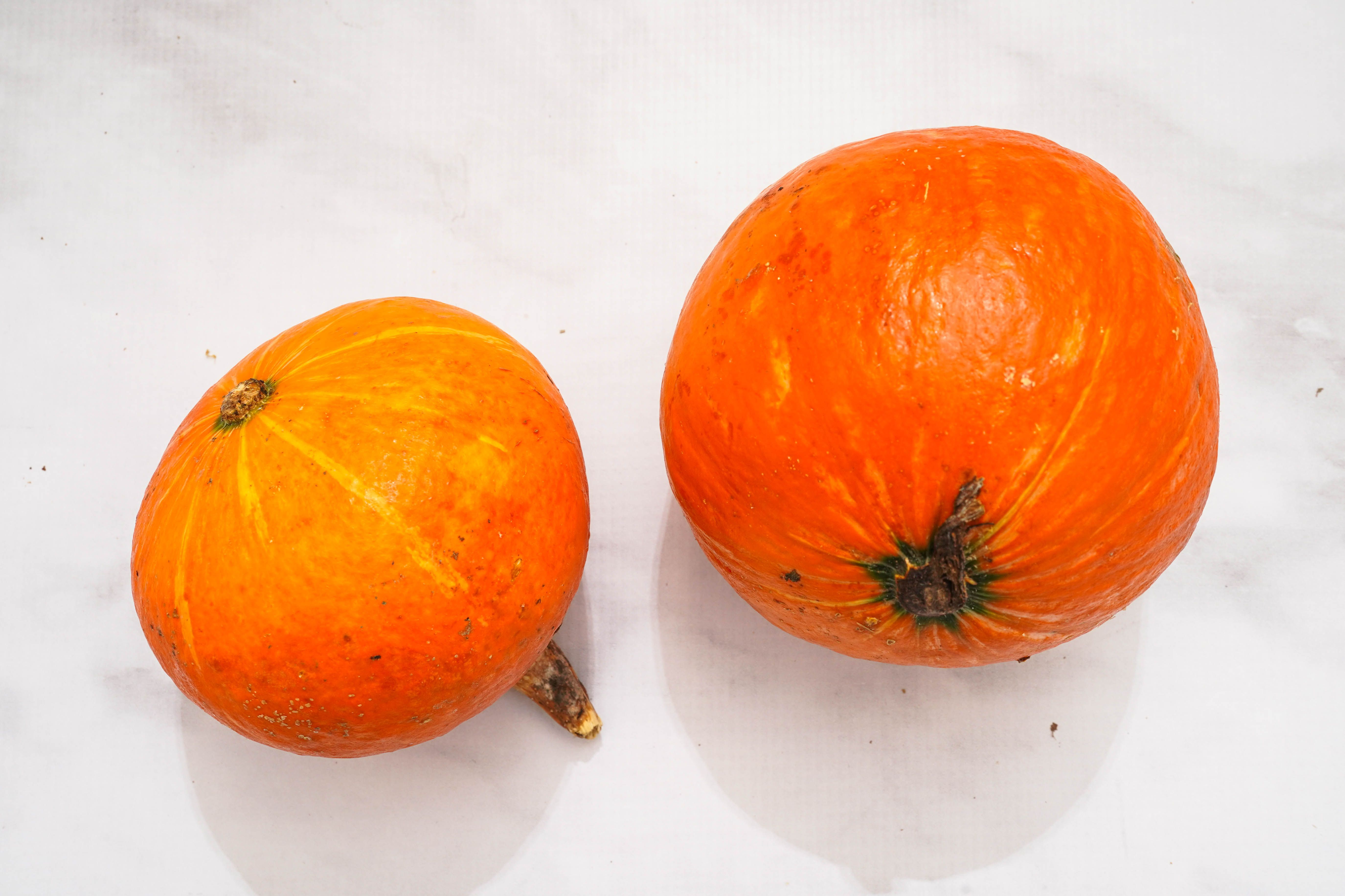 Buy Organically Grown Red Kuri Squash For Delivery Near You
