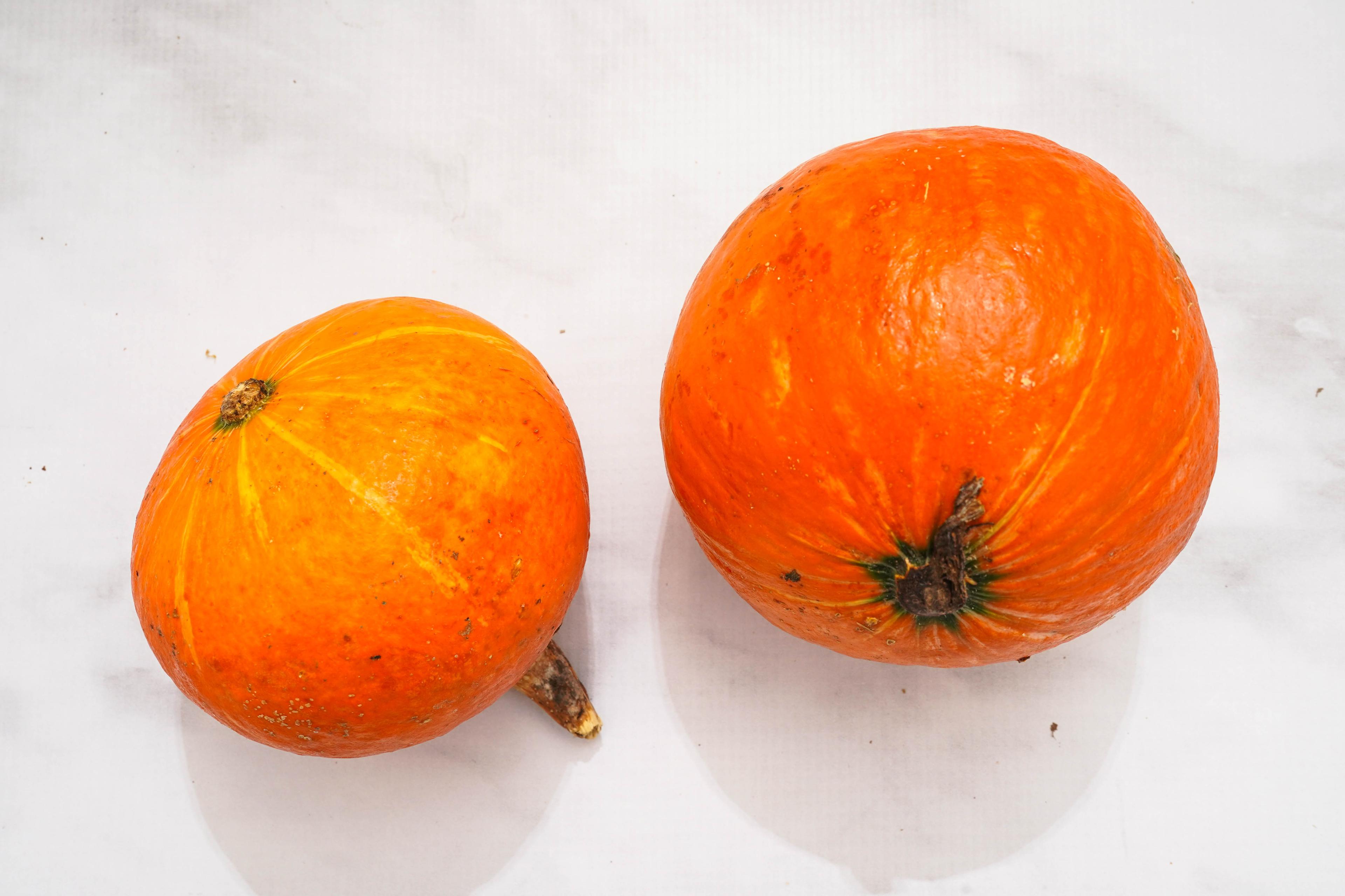 Image from Farm to People