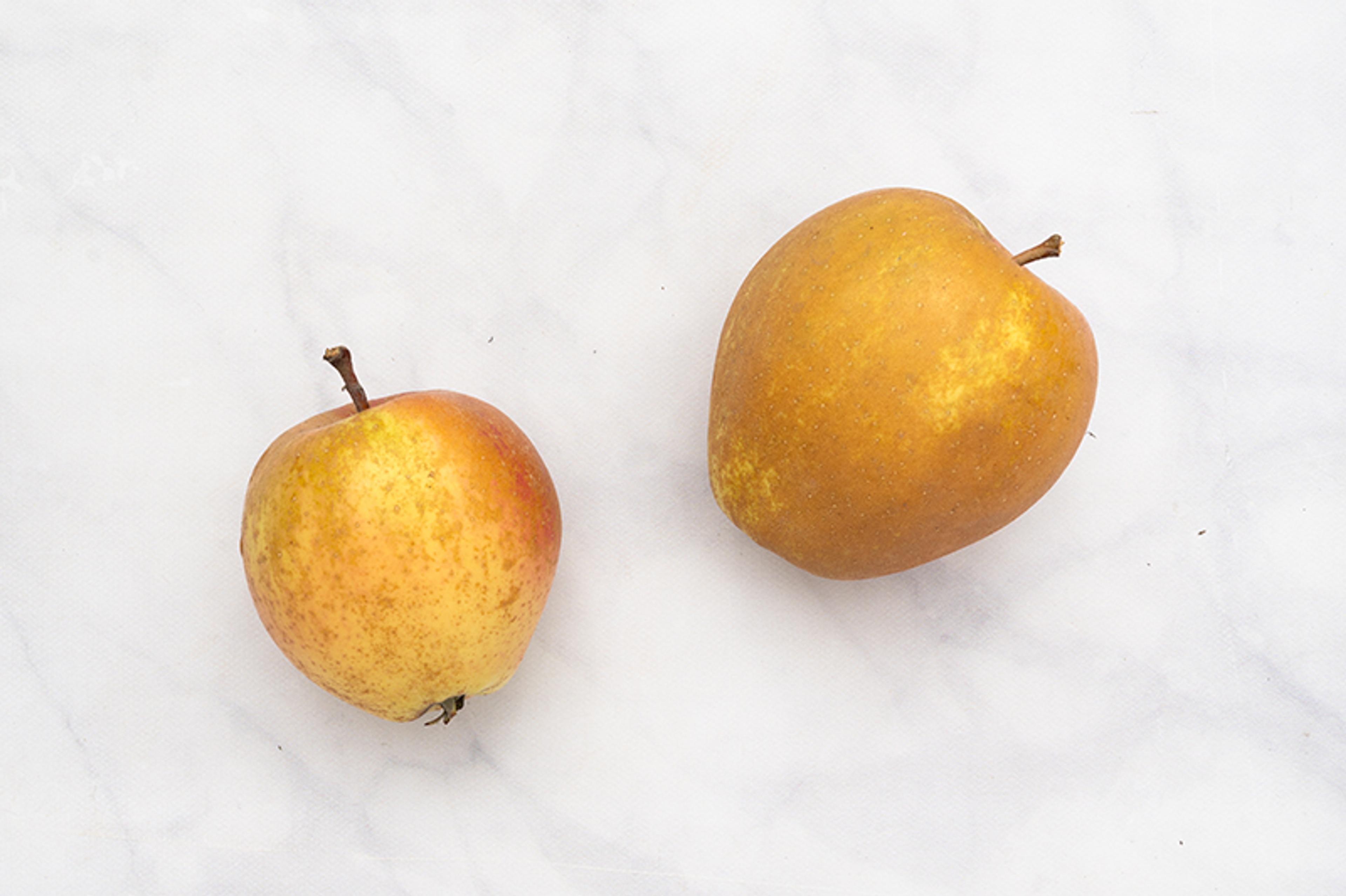 Image from Farm to People