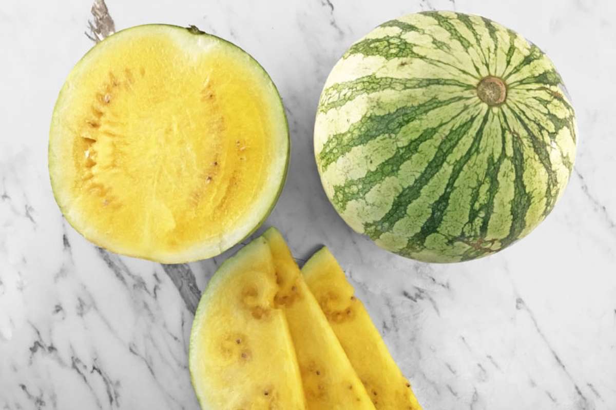 yellow seedless watermelon