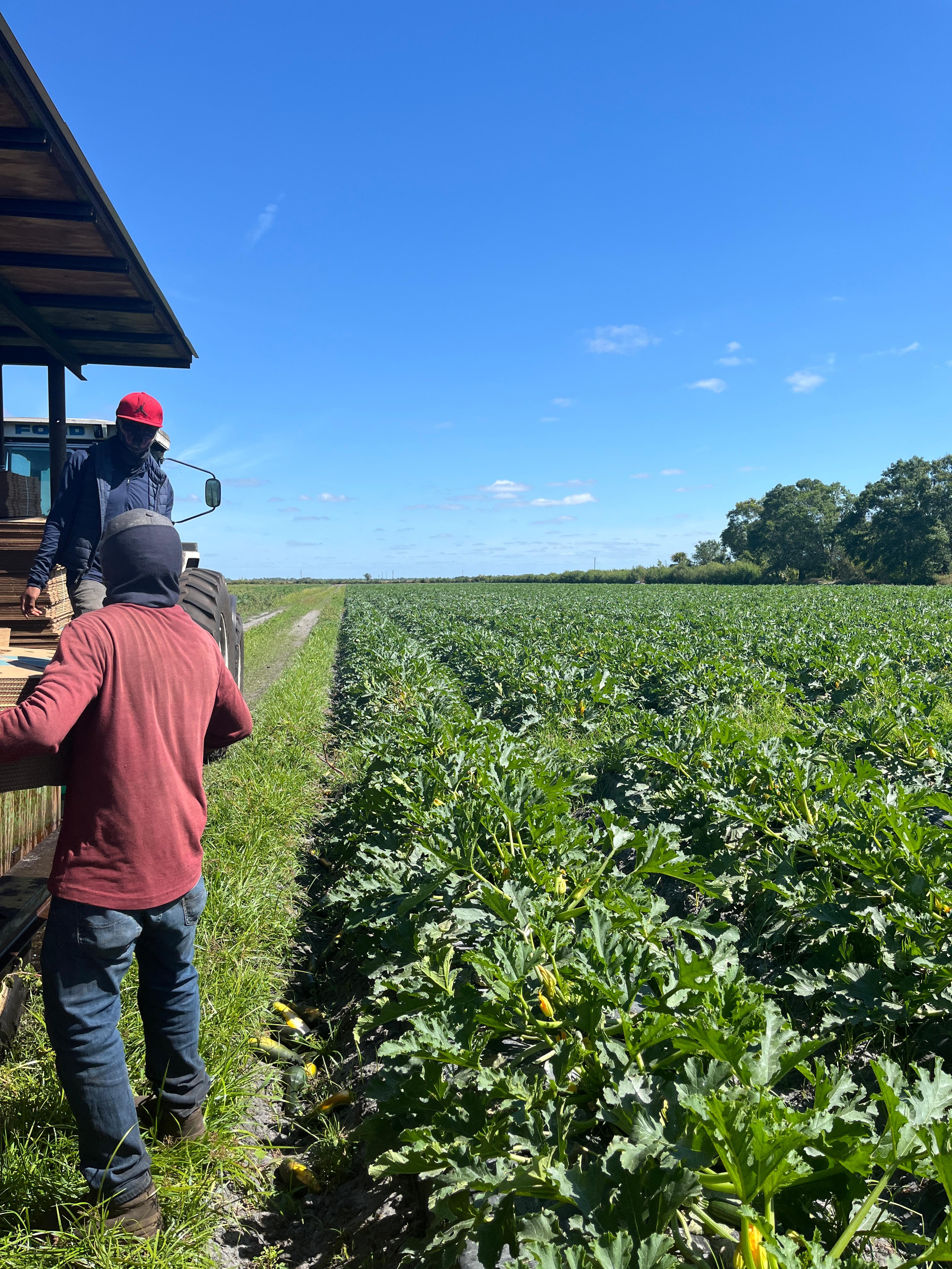 Image from Farm to People