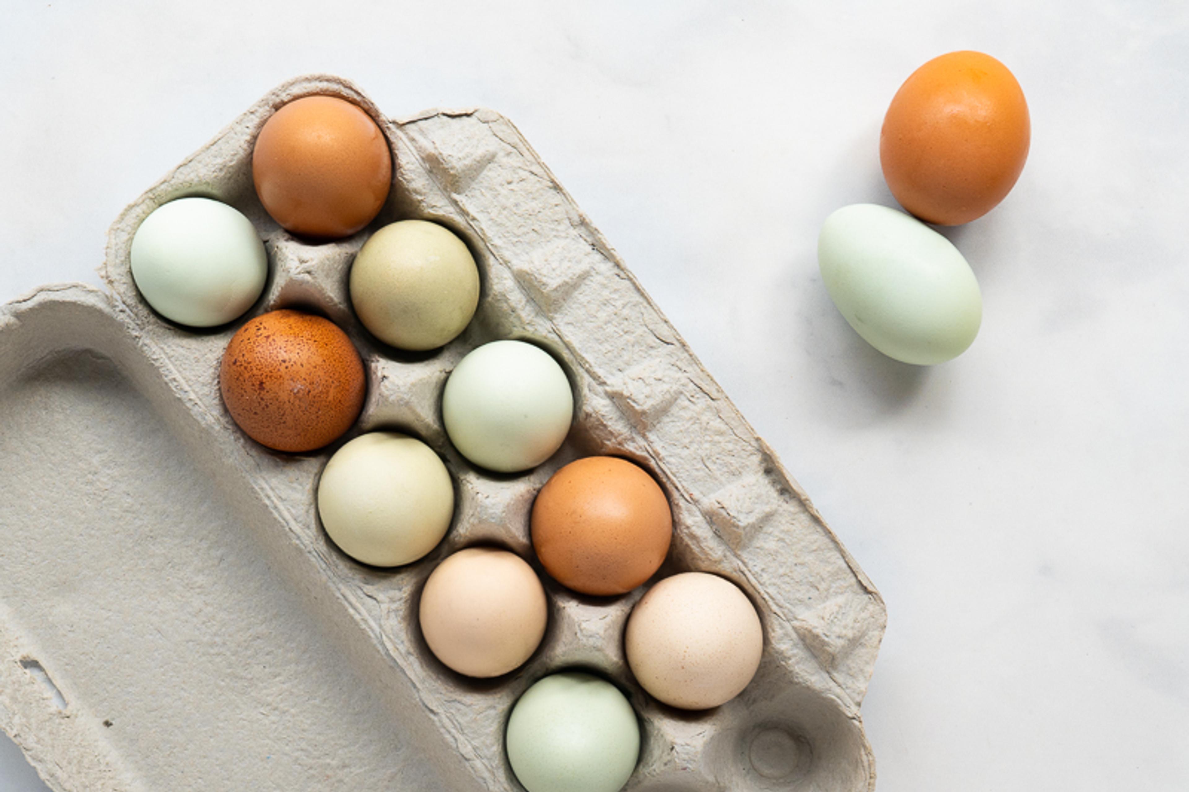 Image from Farm to People