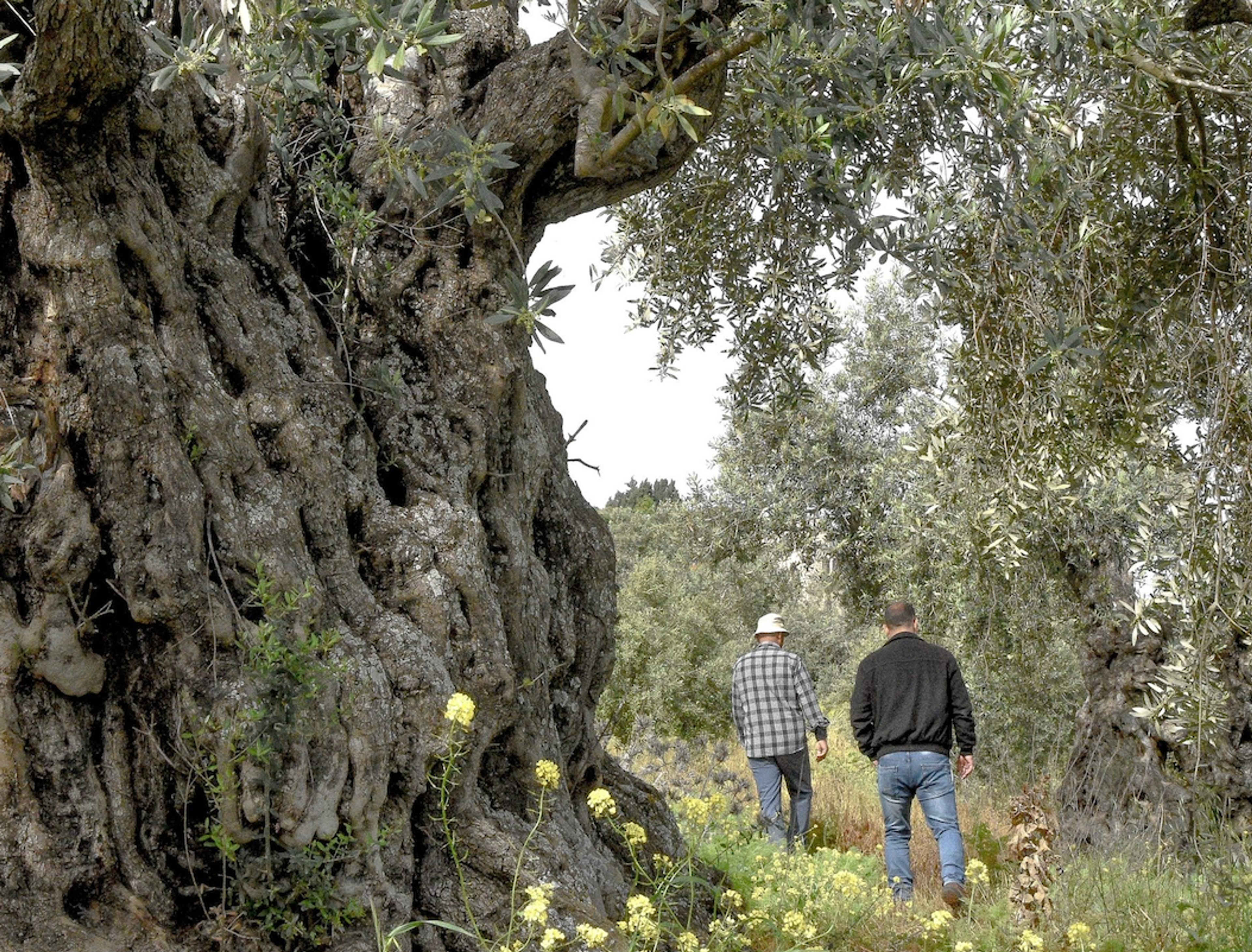 Image from Farm to People