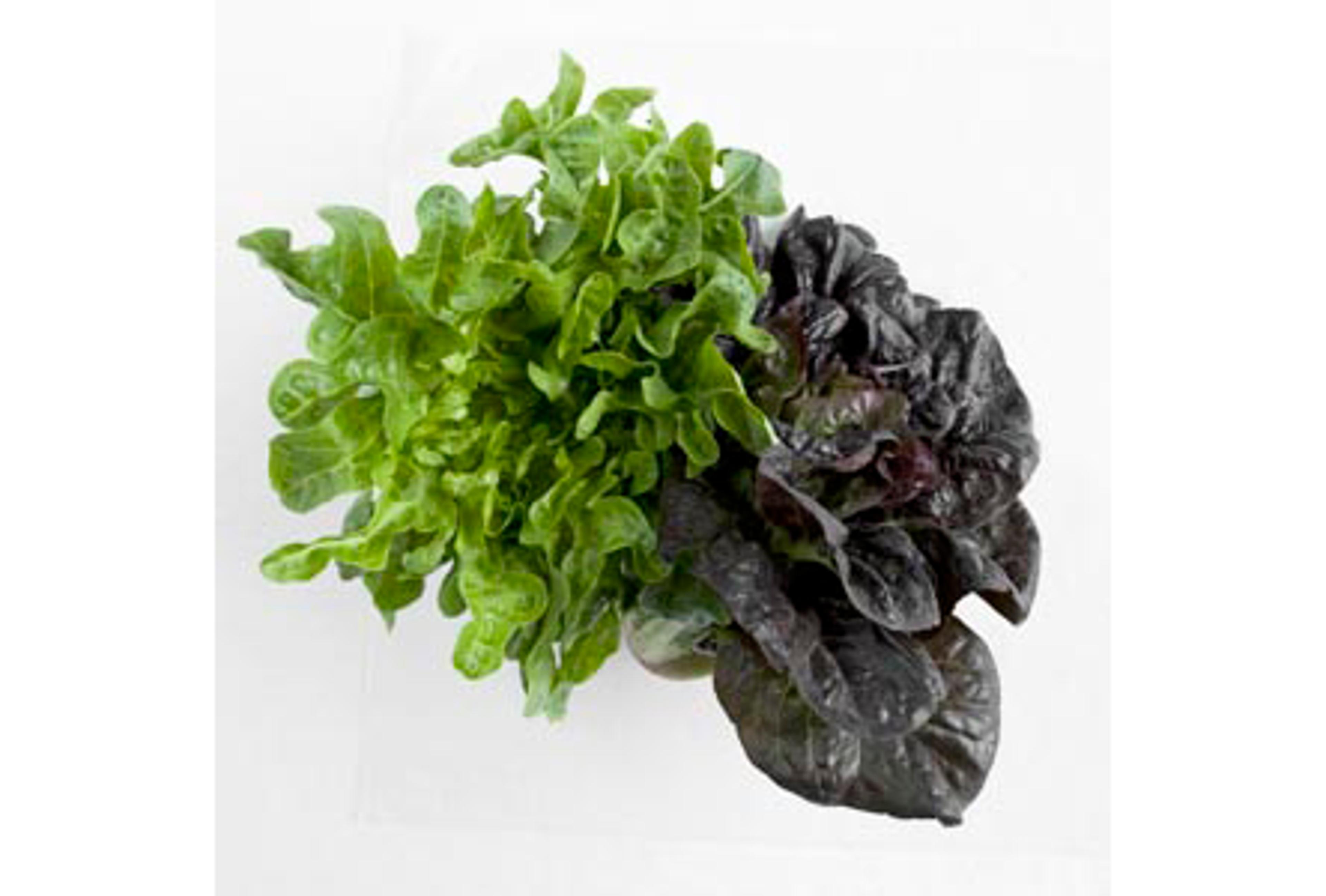 Image from Farm to People