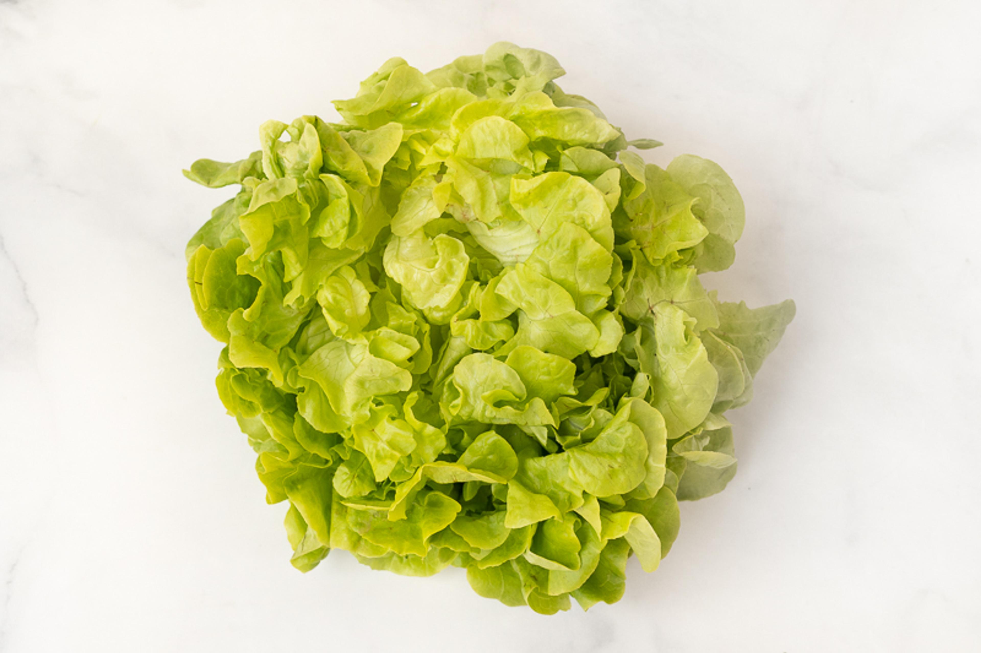 Image from Farm to People