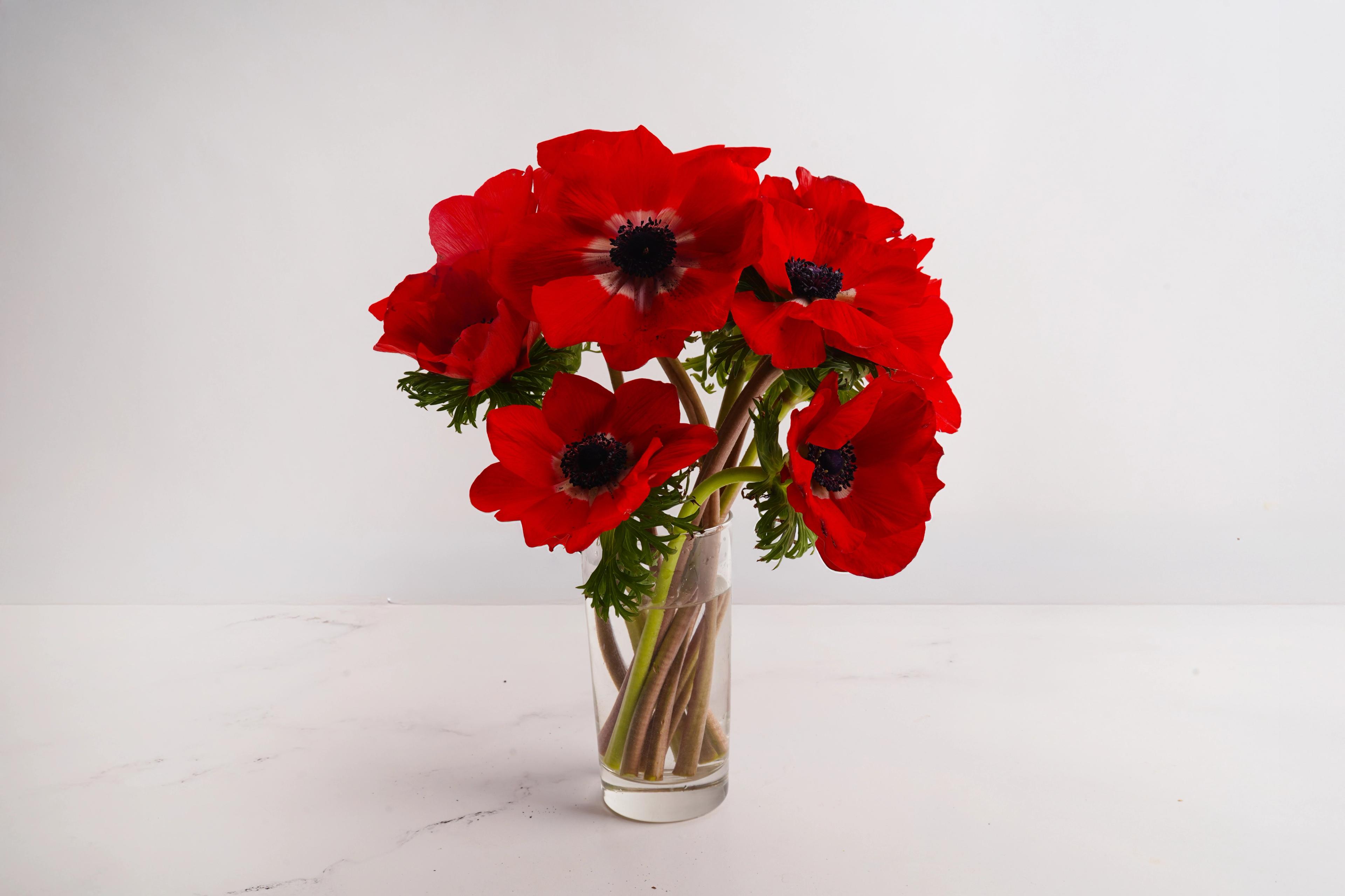 Image from Farm to People