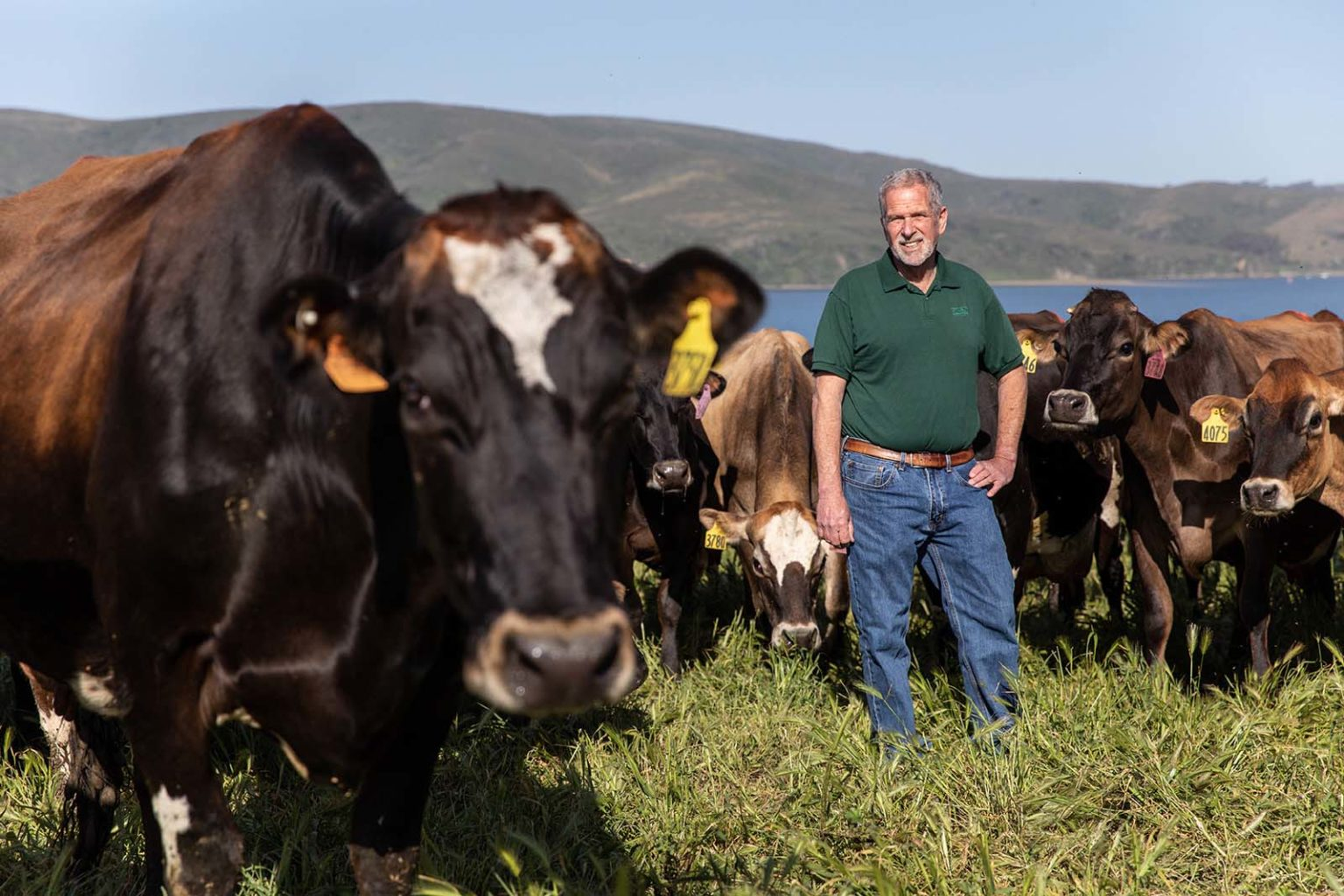 Image from Farm to People