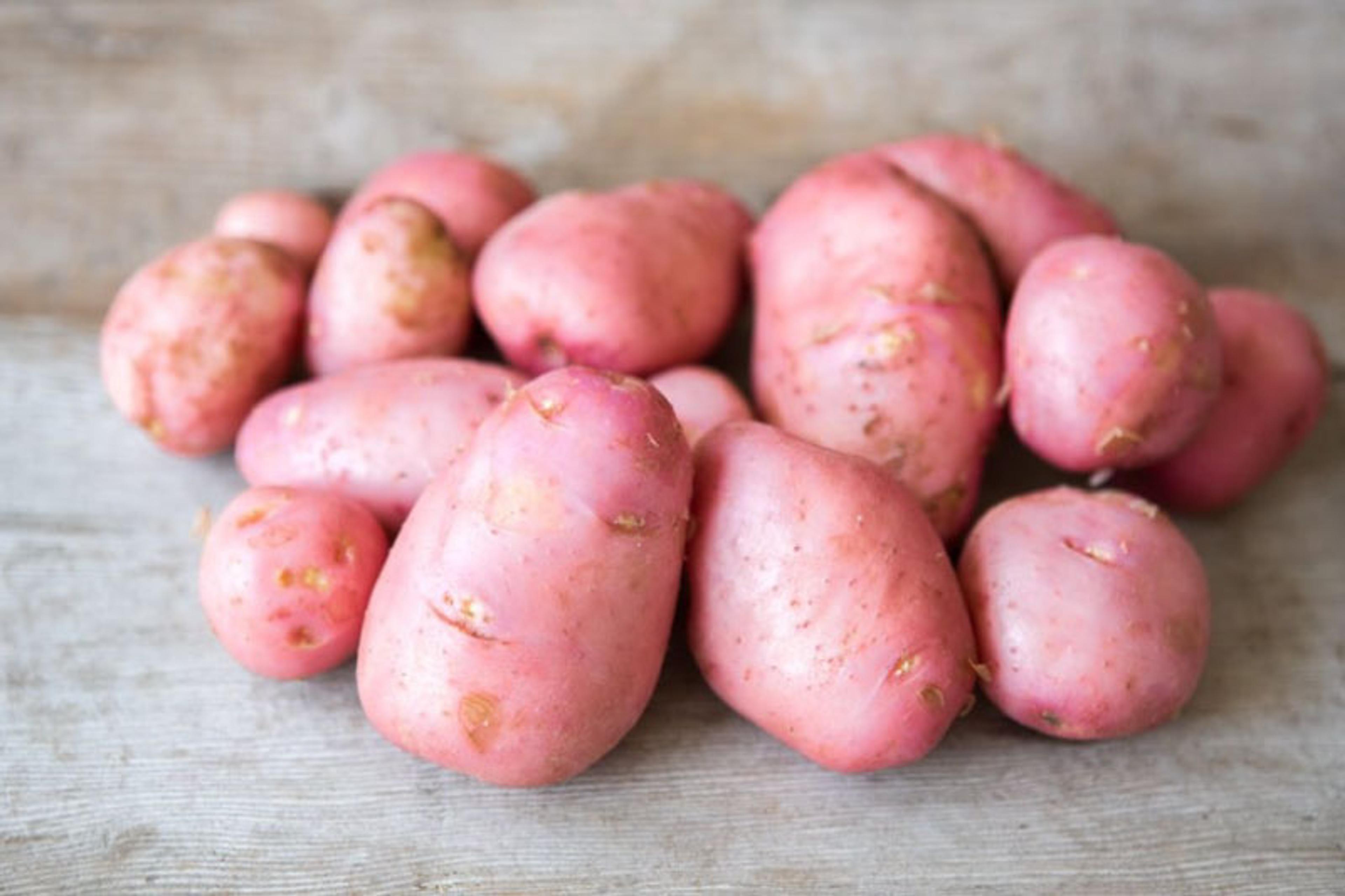 Image from Farm to People