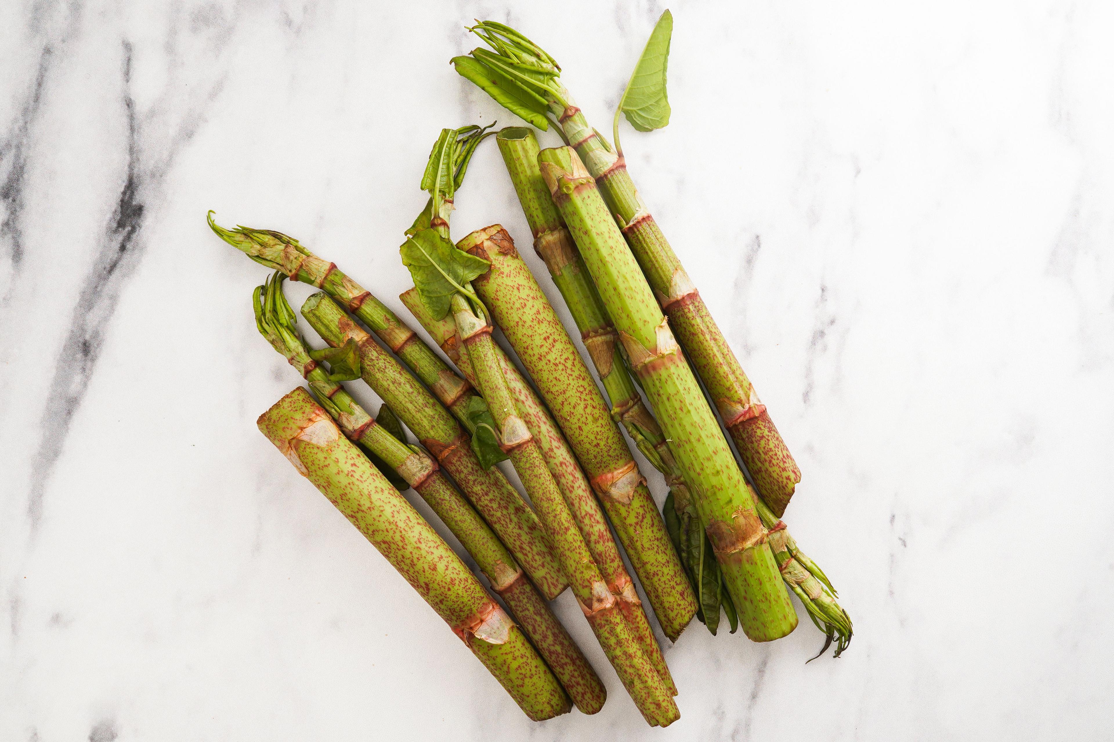 Image from Farm to People